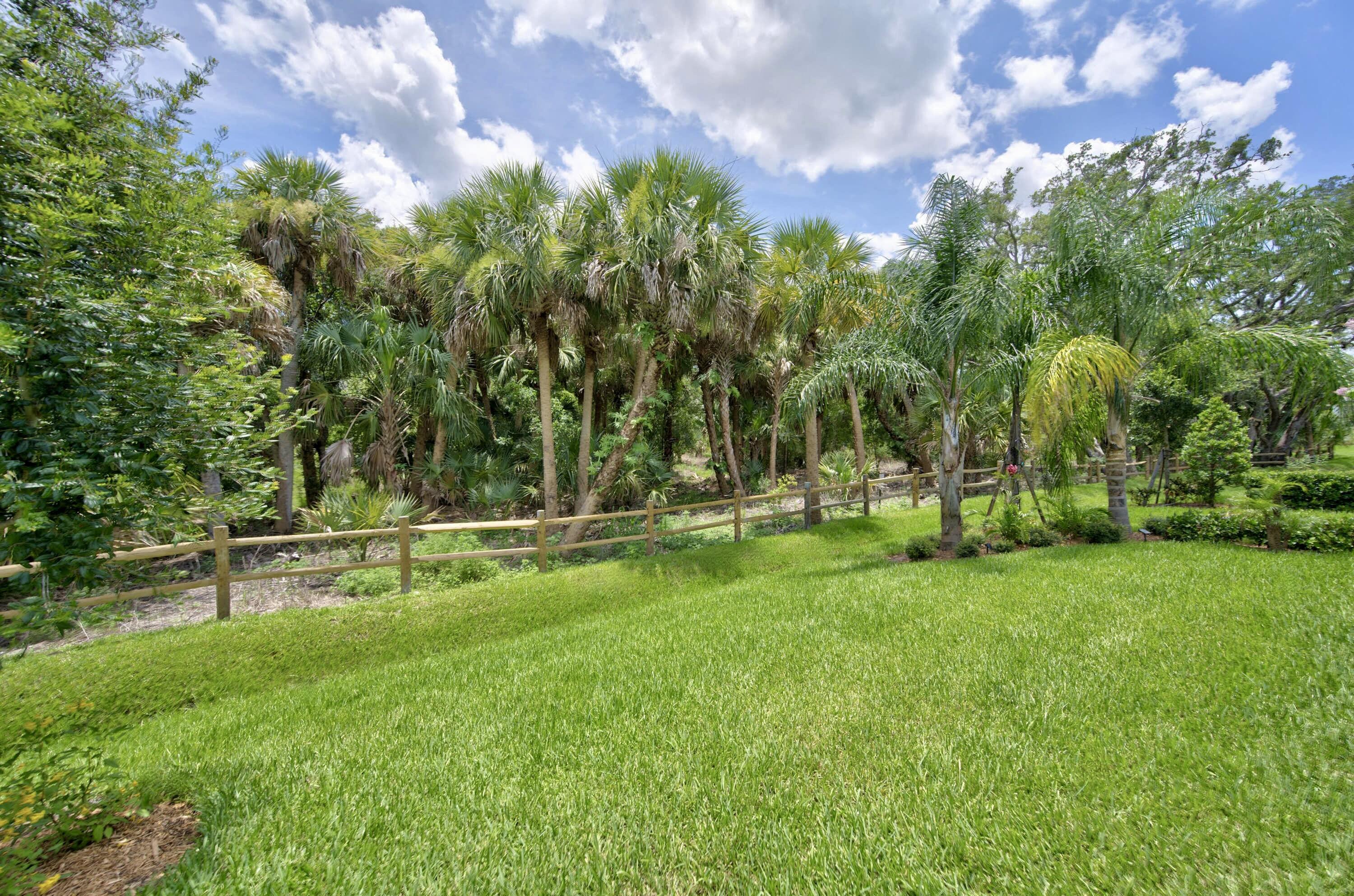 3862 White Alder Way Property Photo 100