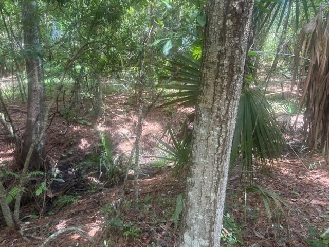 0 Ave O Avenue Property Photo 1