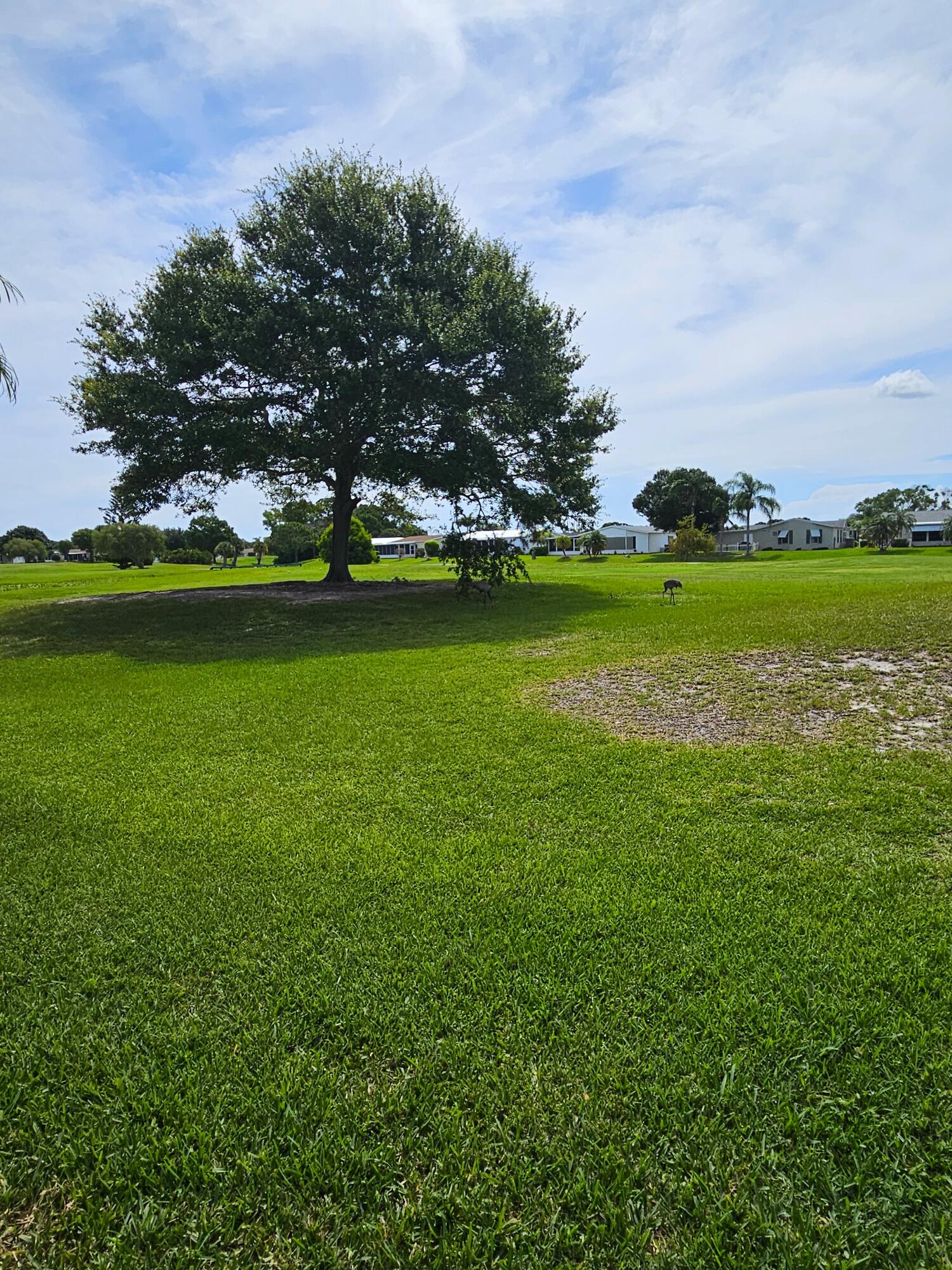 3229 Scarlet Tanager Court Property Photo 30