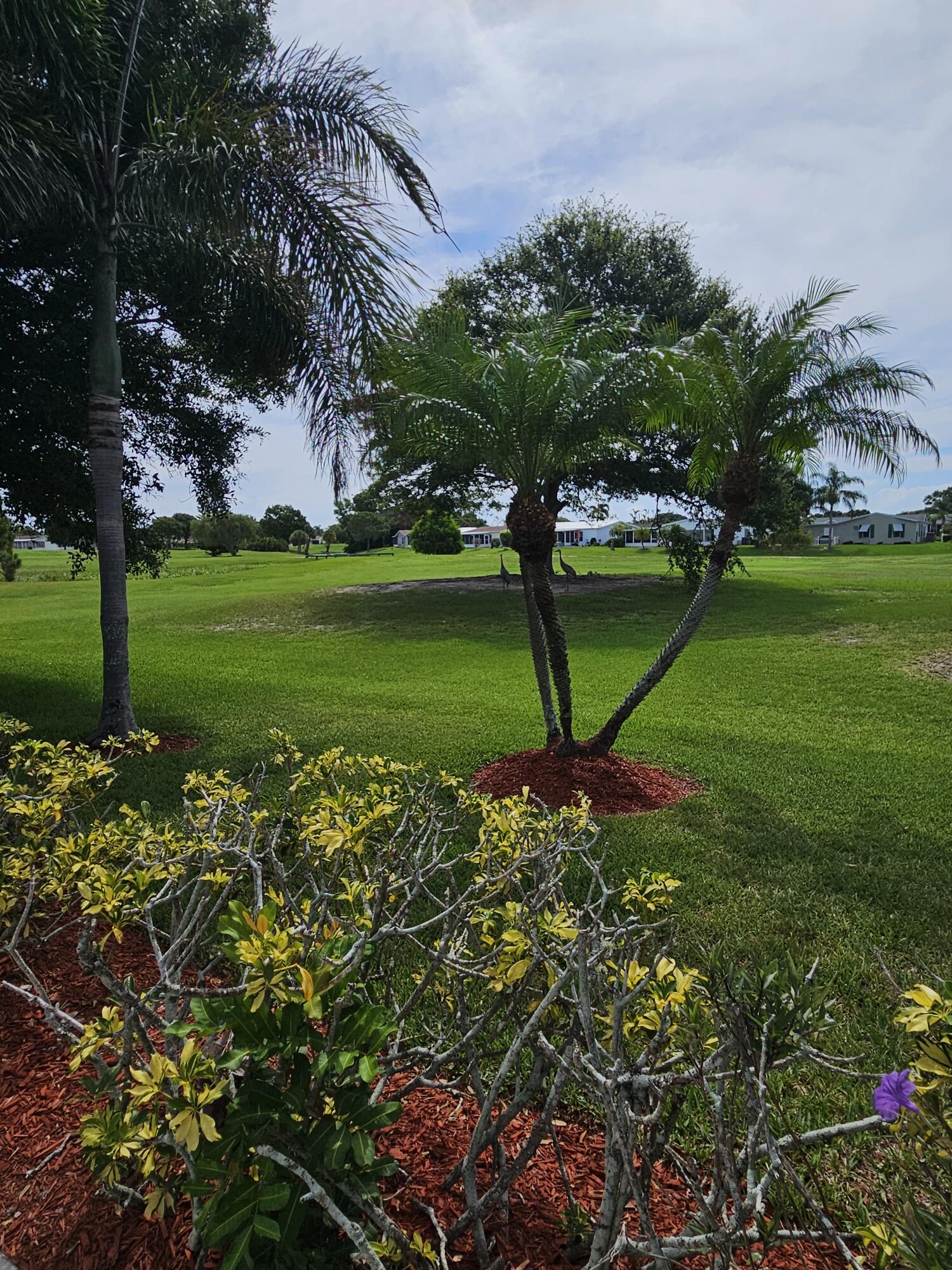 3229 Scarlet Tanager Court Property Photo 31