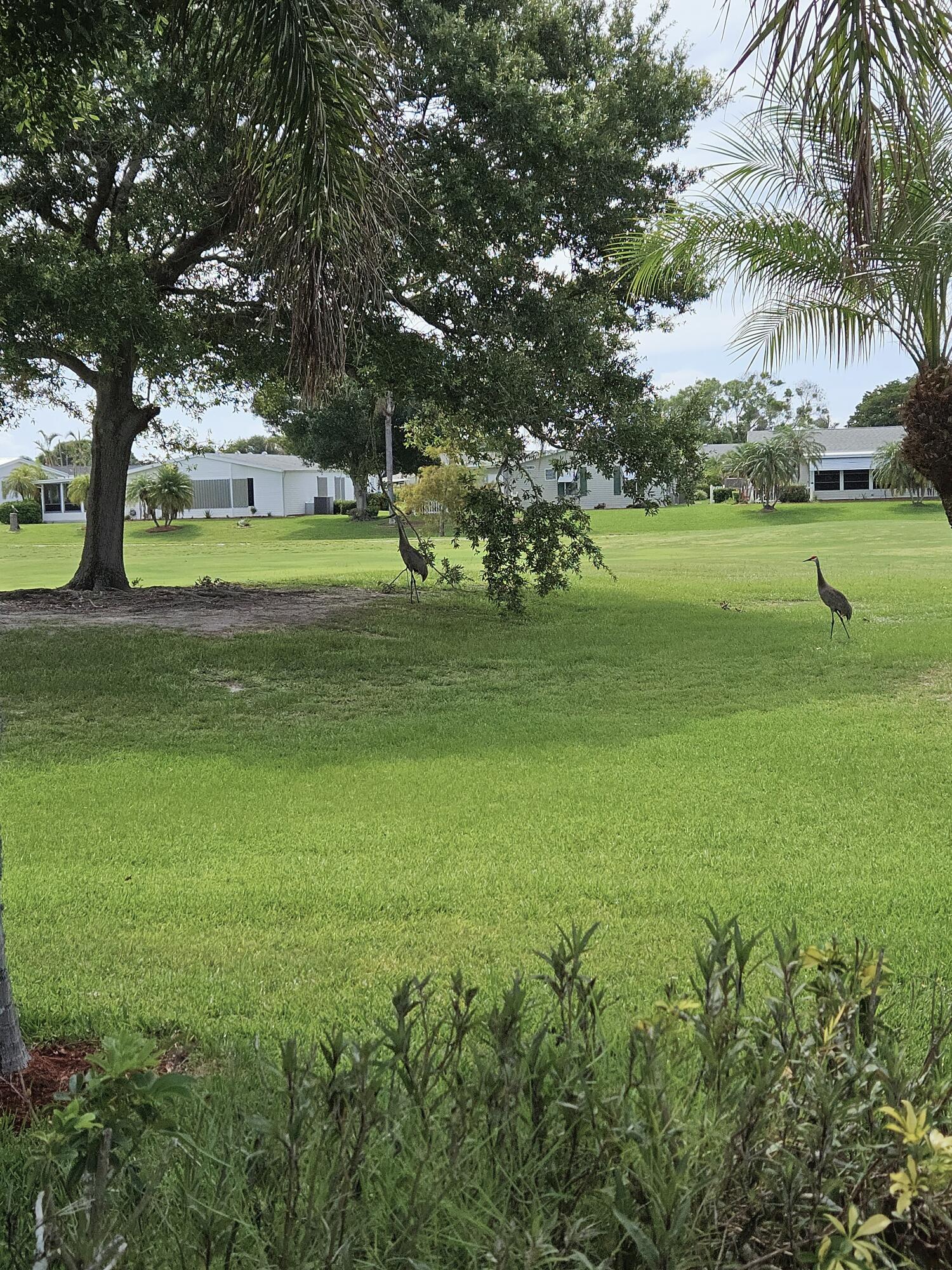 3229 Scarlet Tanager Court Property Photo 34