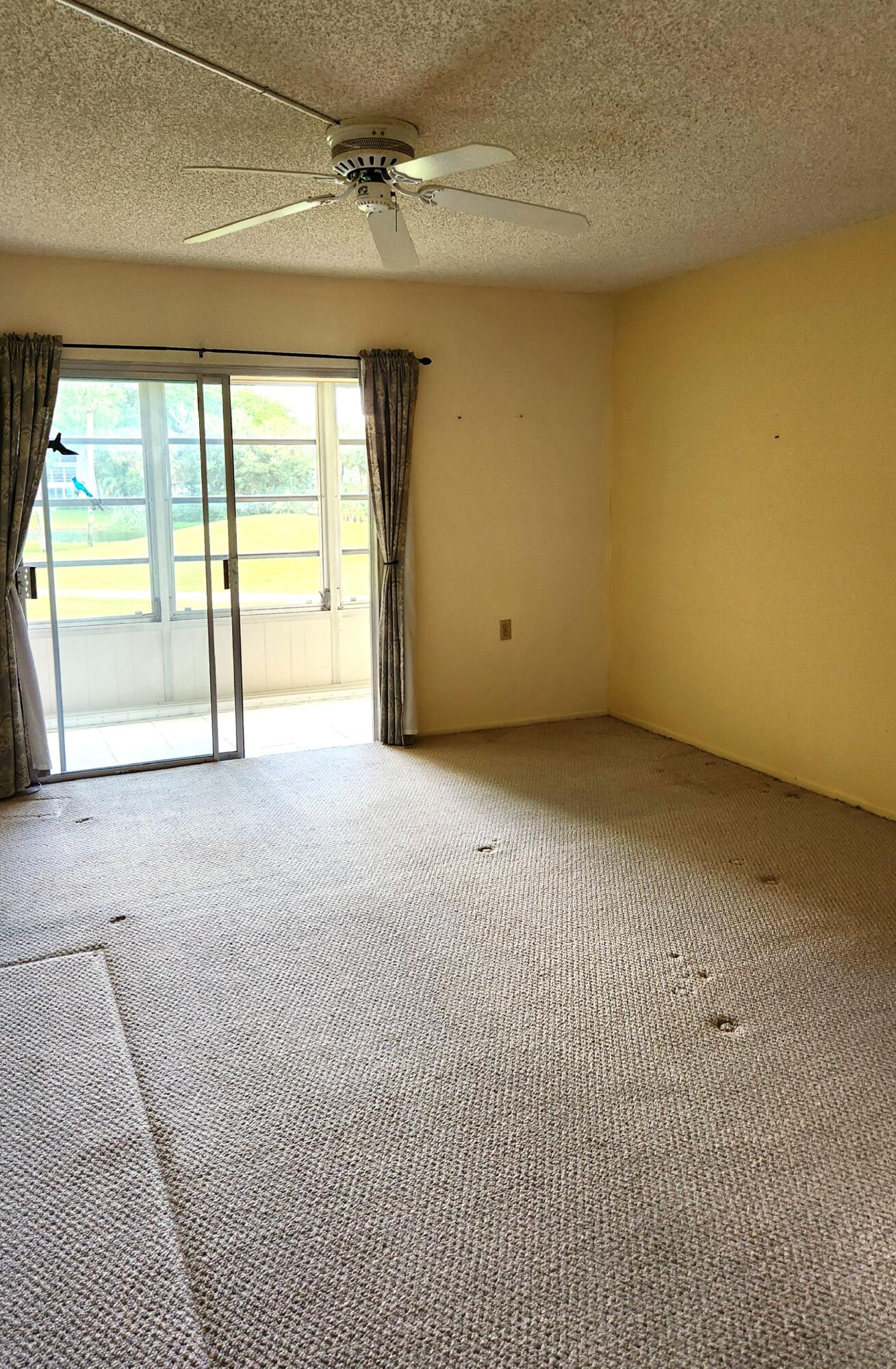 4501 Martinique Way C2 Property Photo 15