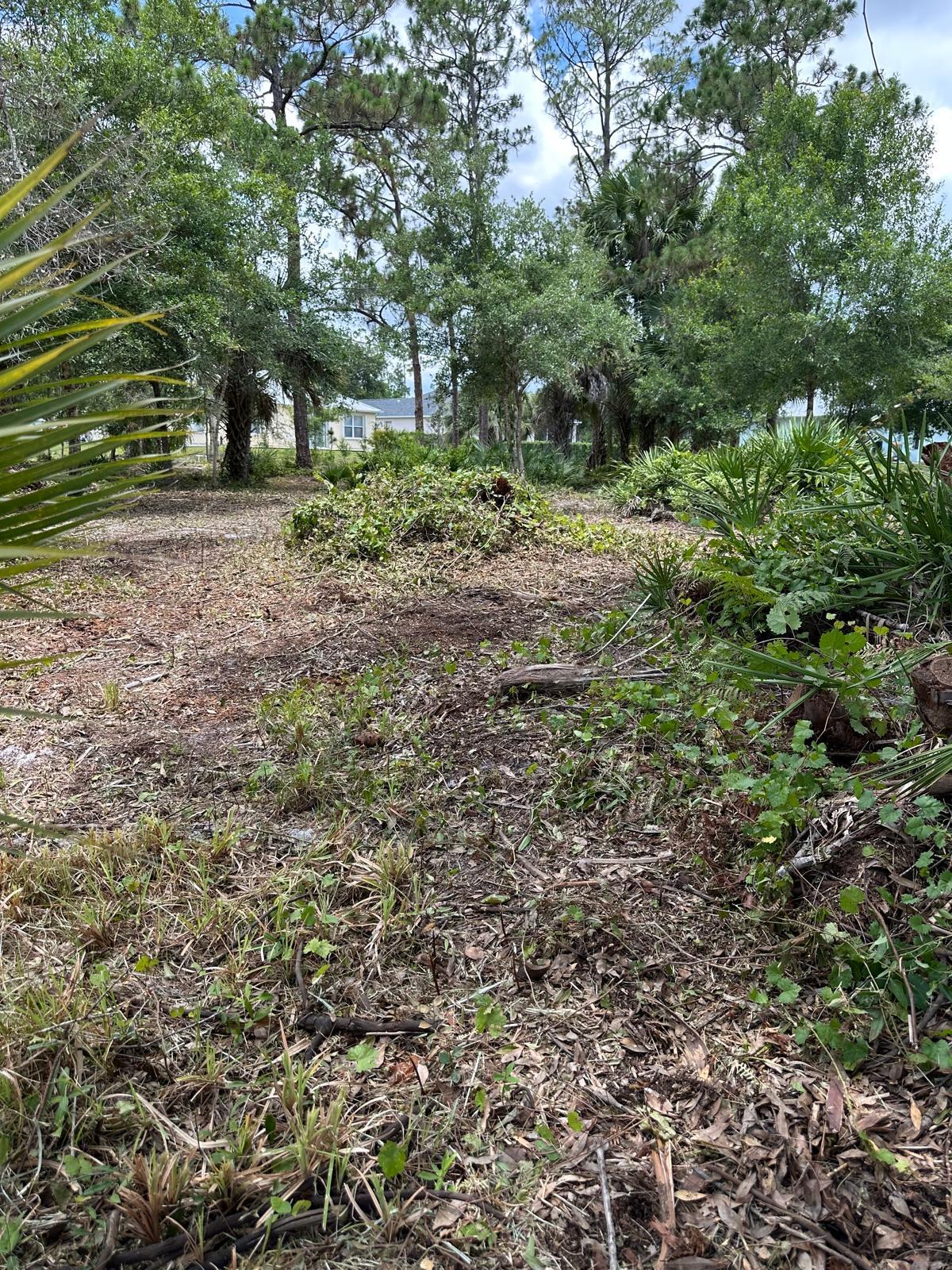 9125 106th Avenue Property Photo 5