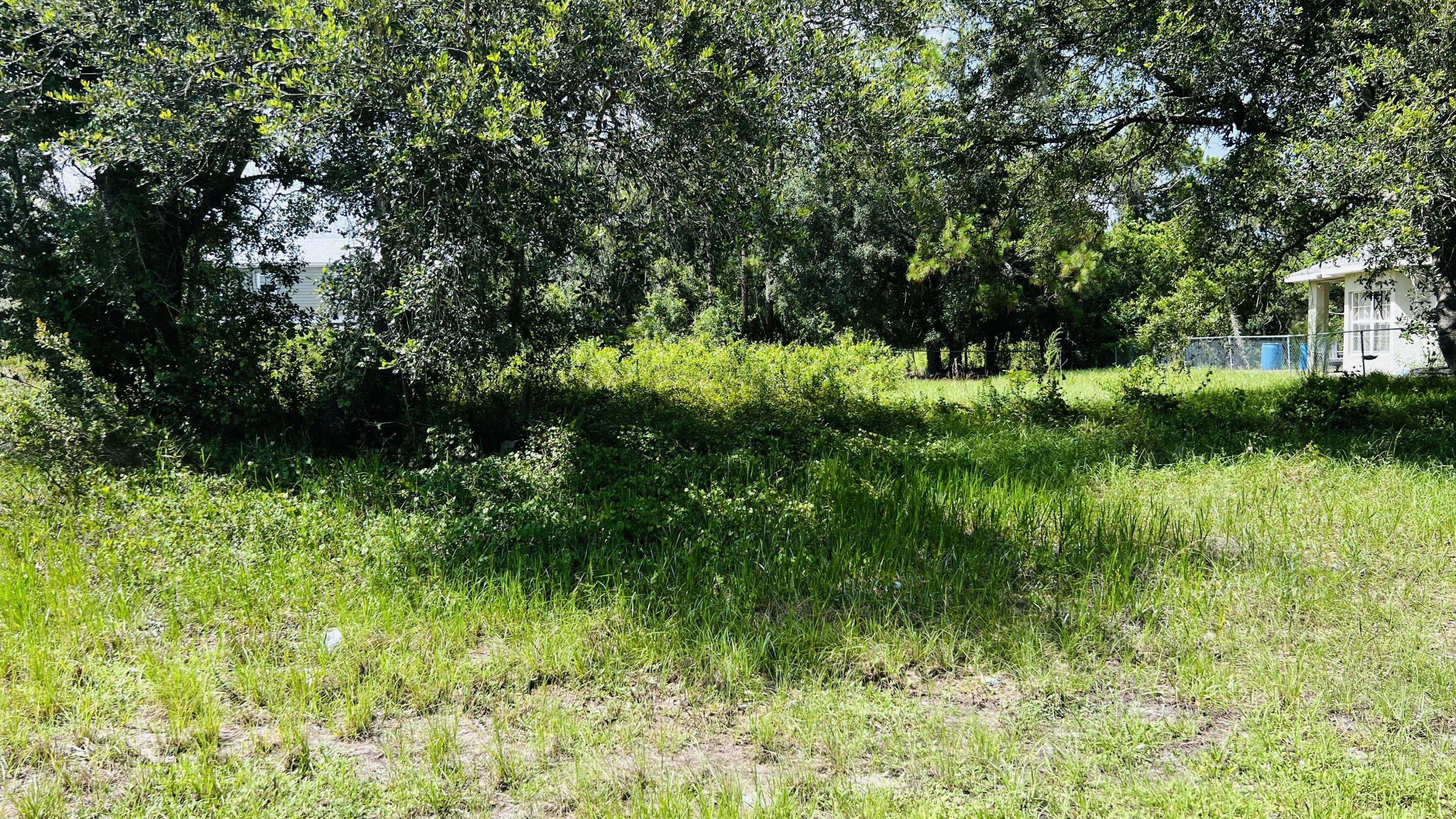 3147 Miller Avenue Property Photo 1