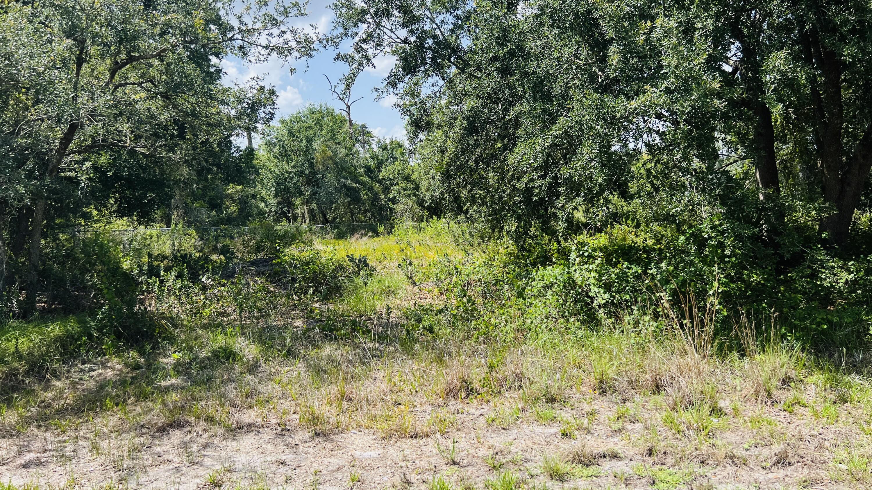 3155 MILLER Avenue Property Photo 1