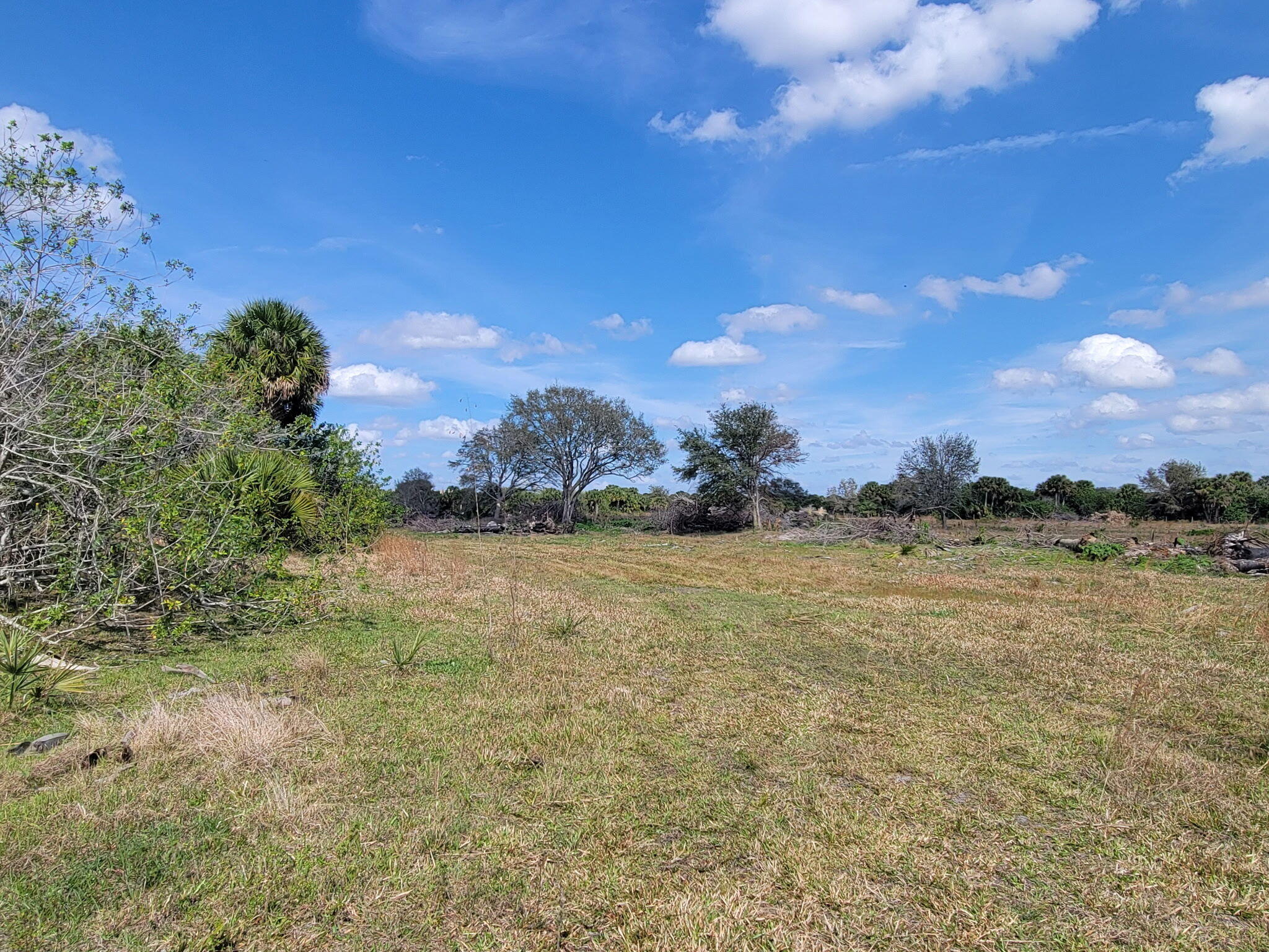 0 Cabbage Drive Property Photo 7