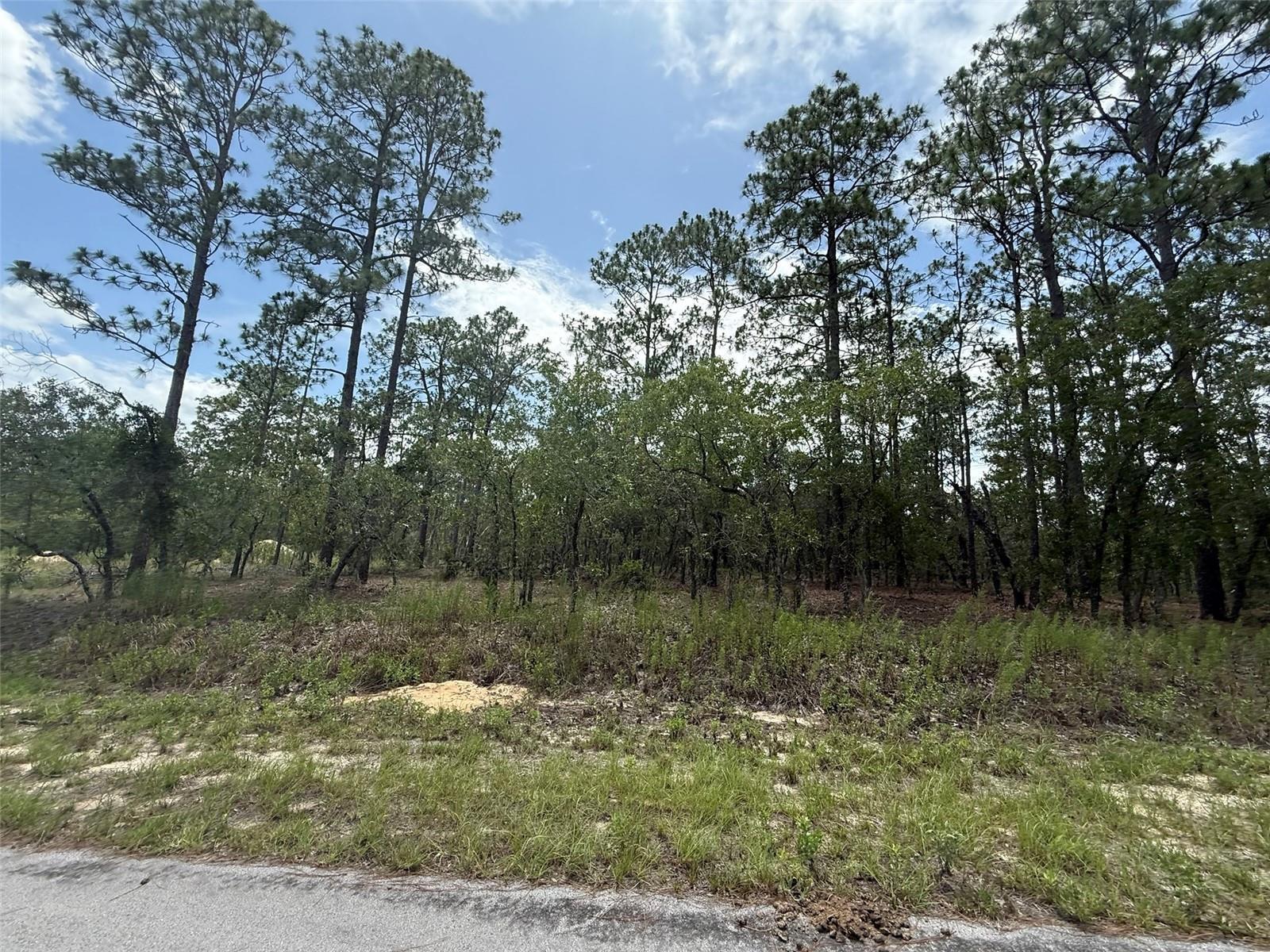 Tbd Nw Tree Top Road Property Photo 3