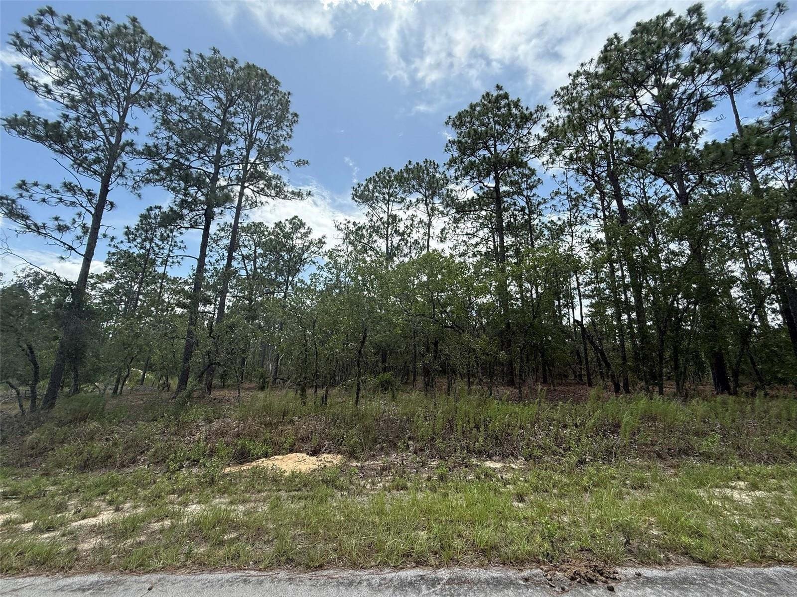 Tbd Nw Tree Top Road Property Photo 5