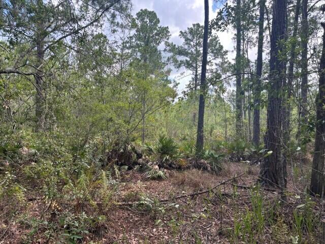 0 Water Road Property Photo 2