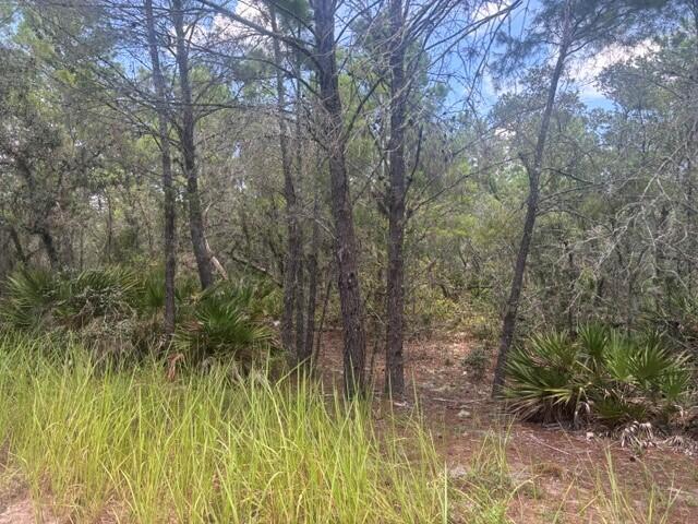 0 Us Hwy 27 Property Photo 1