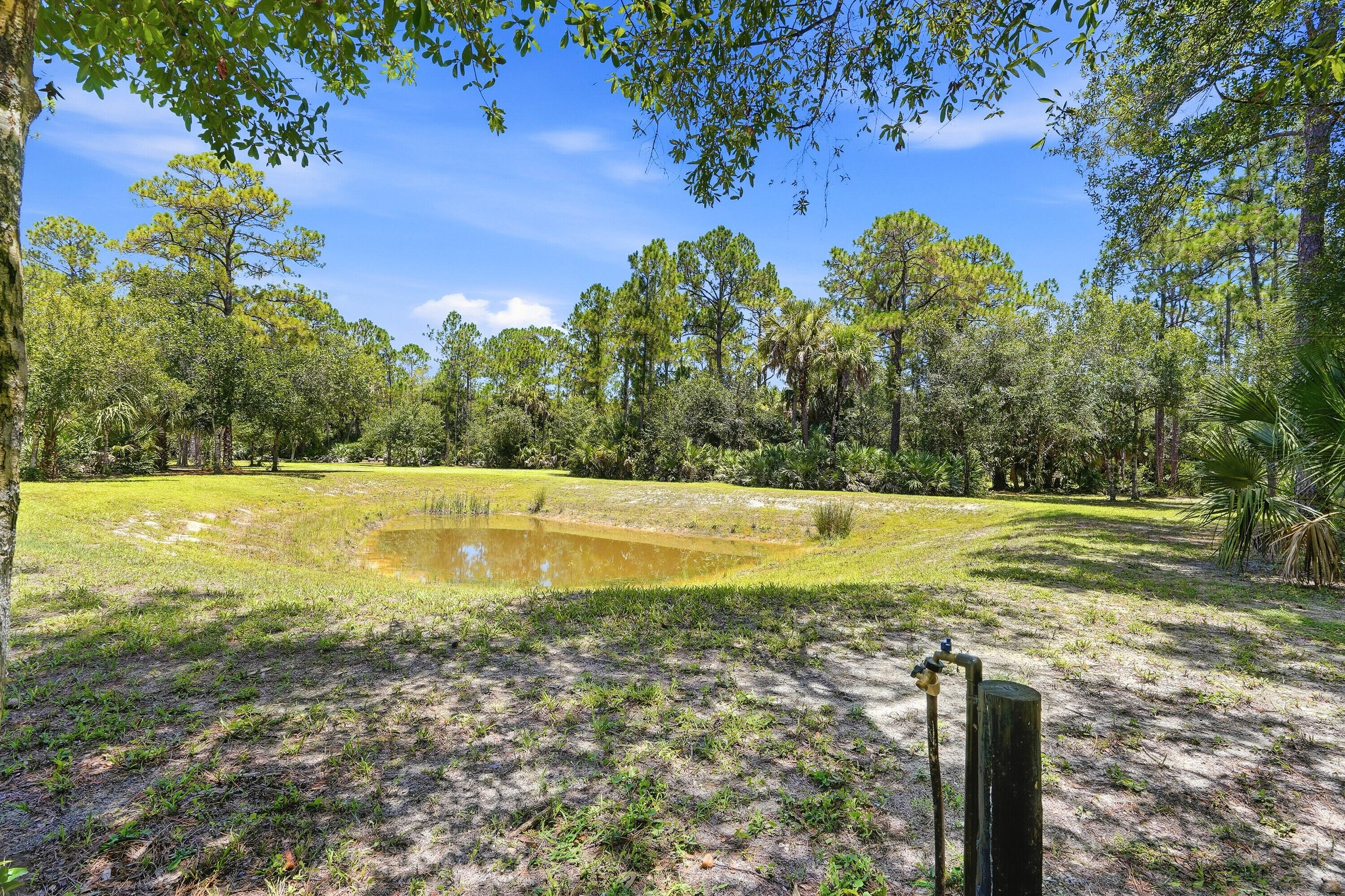 6413 S Header Canal Road Property Photo 15