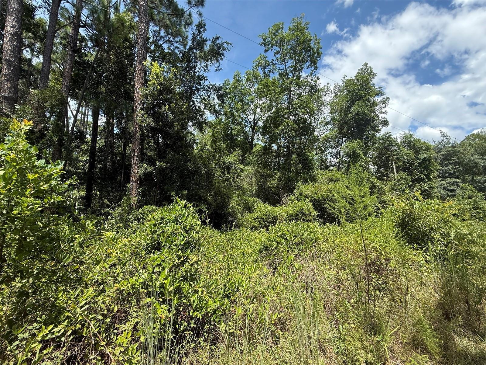 313 Calhoun Avenue Property Photo 1