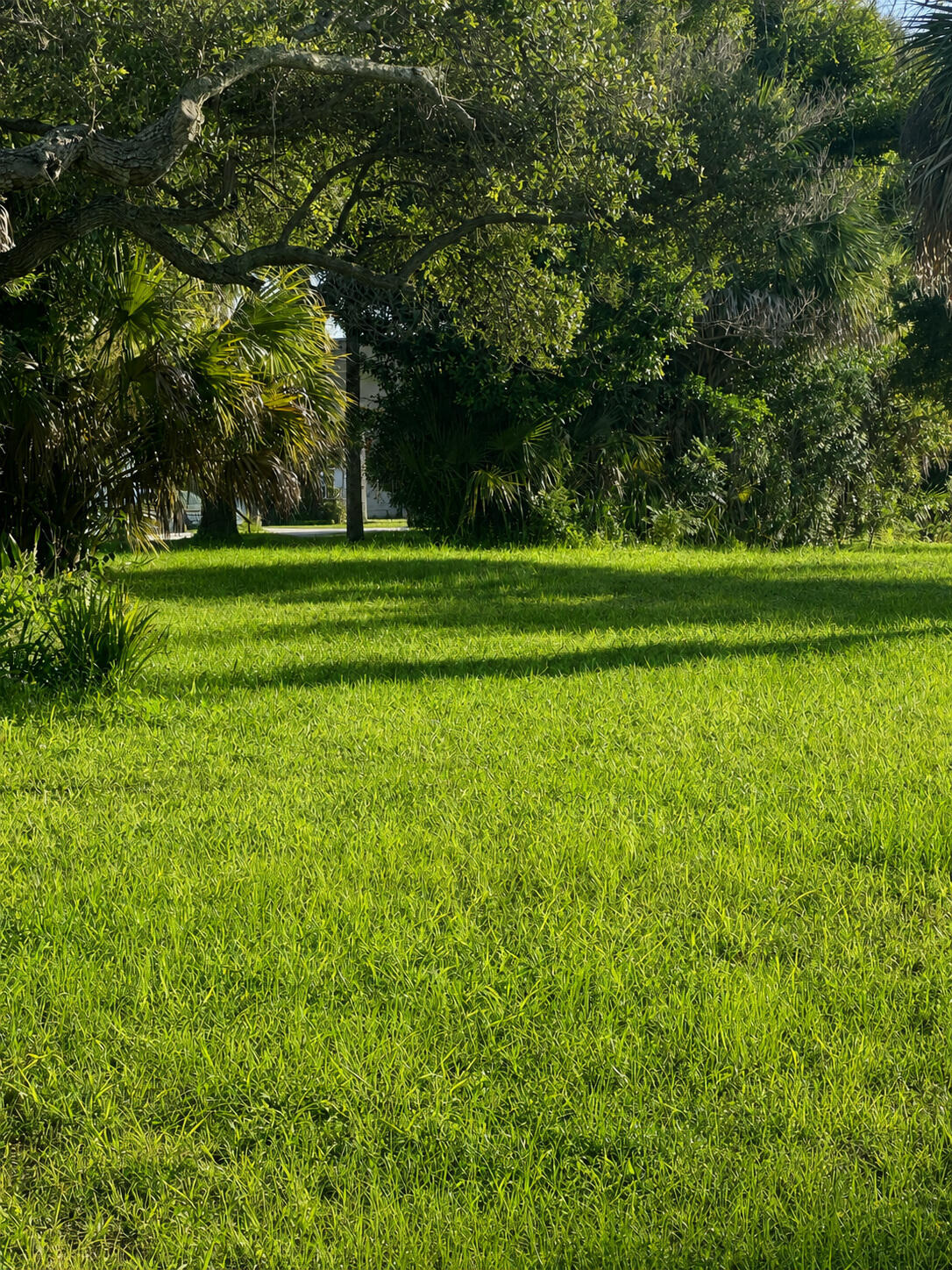 1026 Indian River Drive Property Photo 10