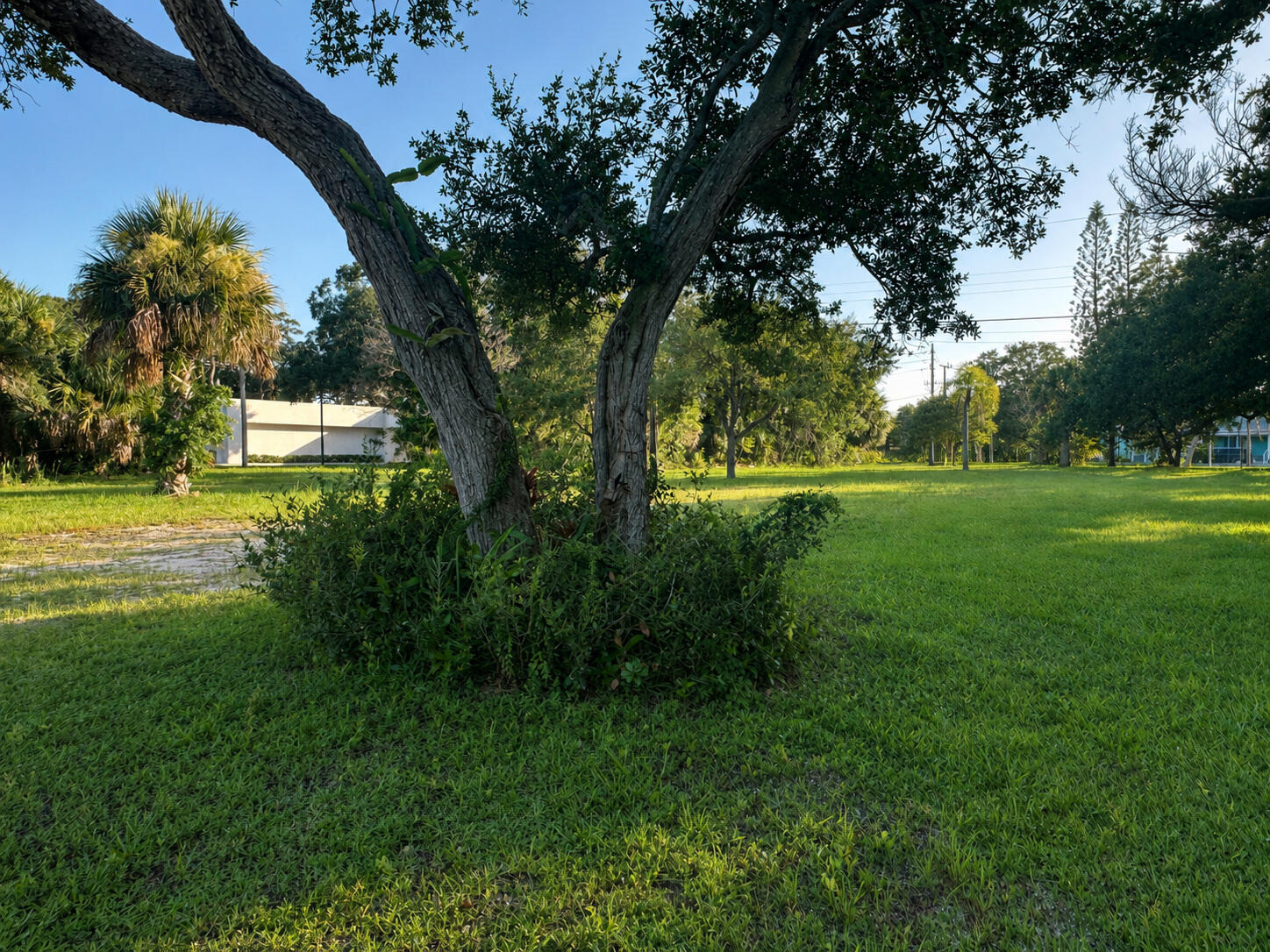 1026 Indian River Drive Property Photo 11
