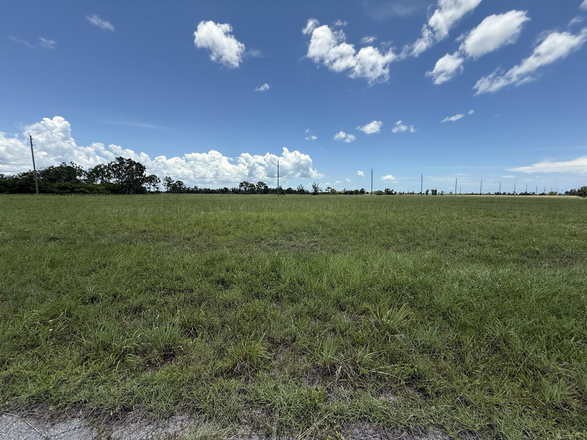 12439 Greenling Way Property Photo 4