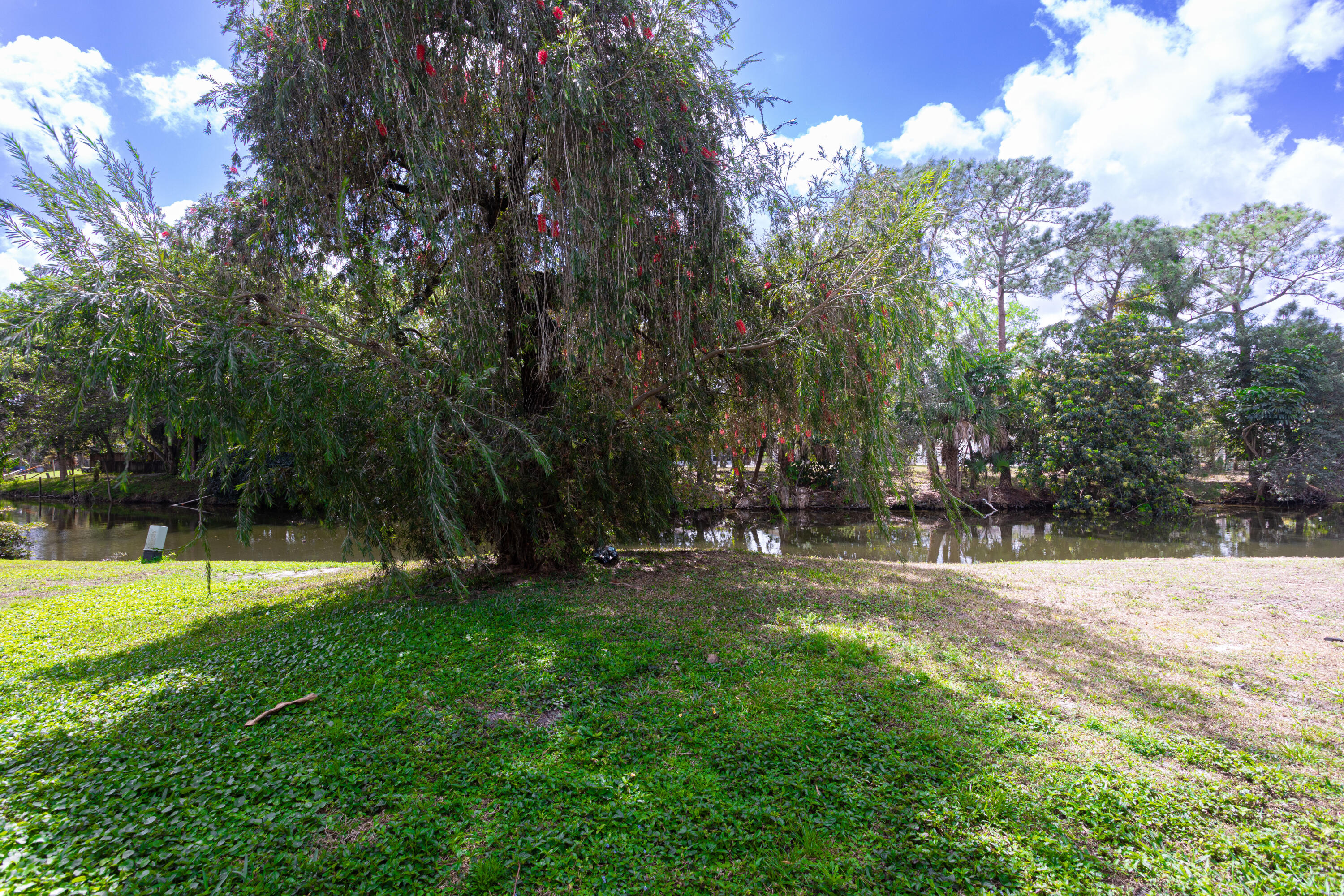 202 Sparrow Drive 1 Property Photo 4