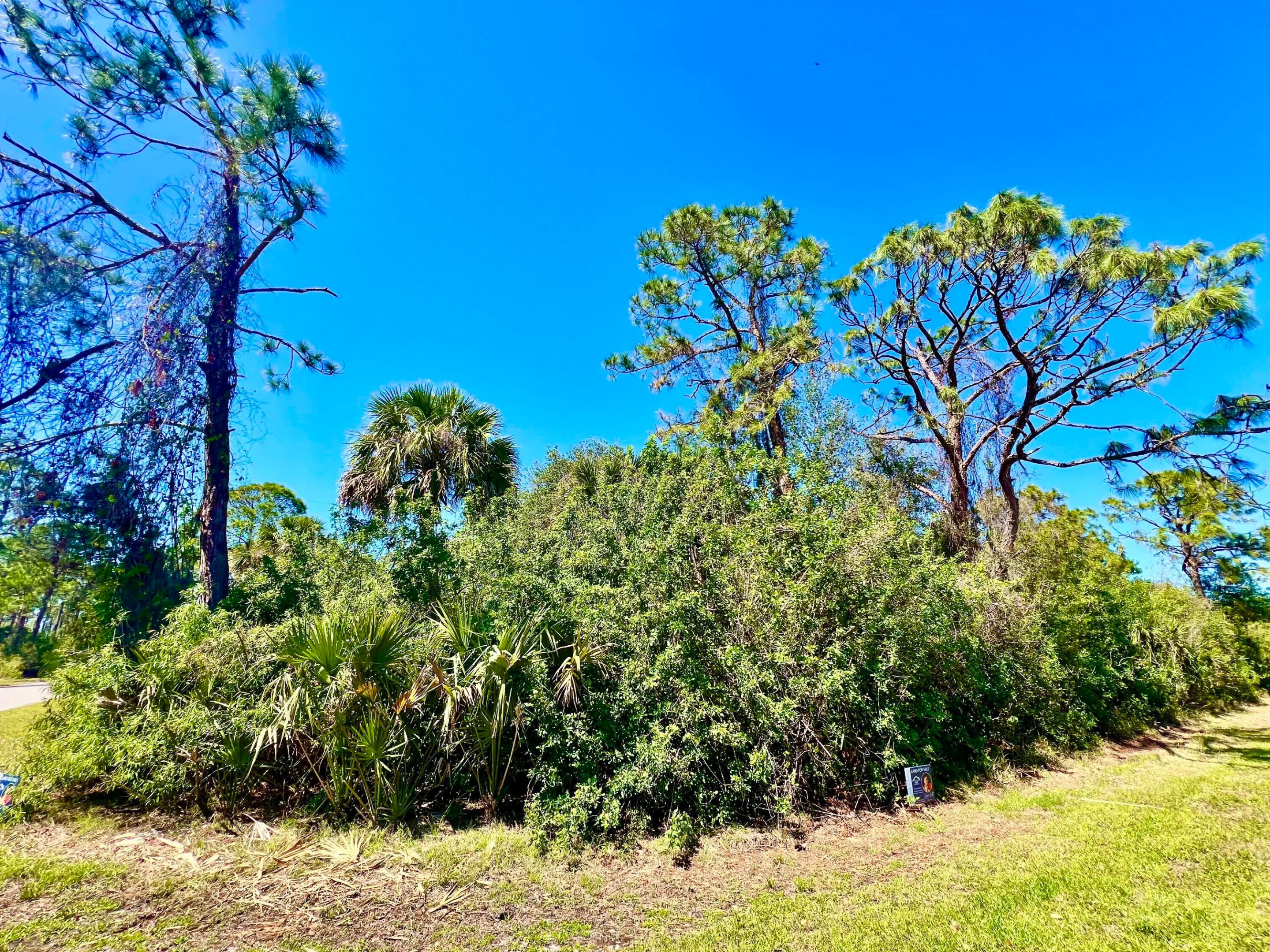 12142 Joyner Avenue Property Photo 2