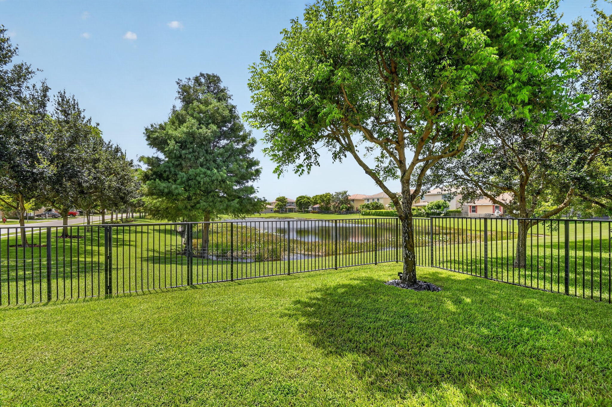 5652 Caranday Palm Drive Property Photo 50