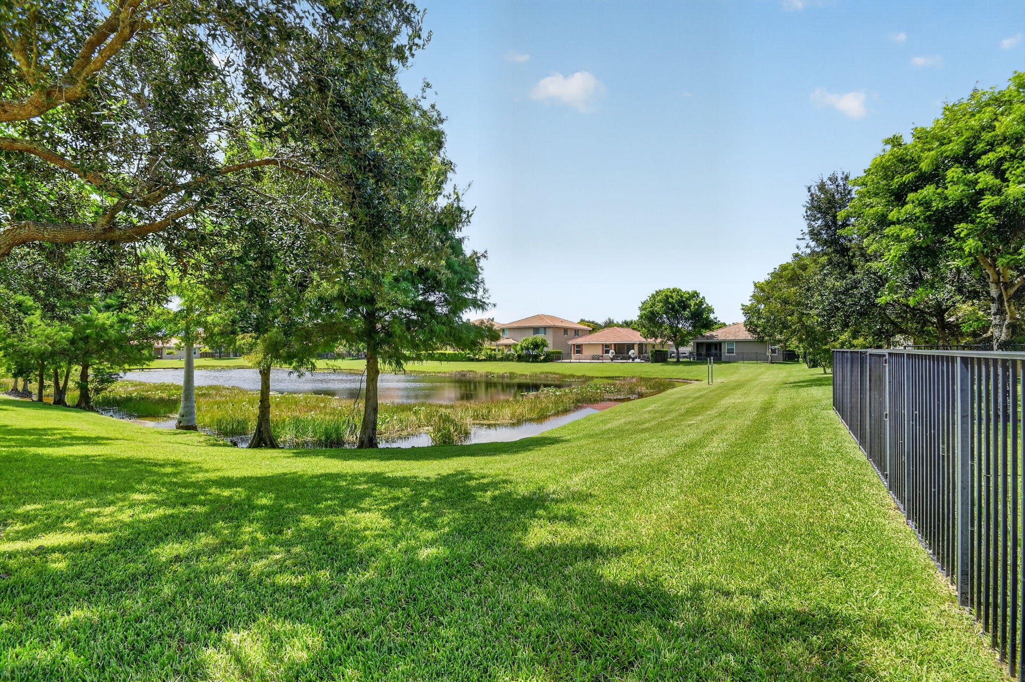 5652 Caranday Palm Drive Property Photo 52