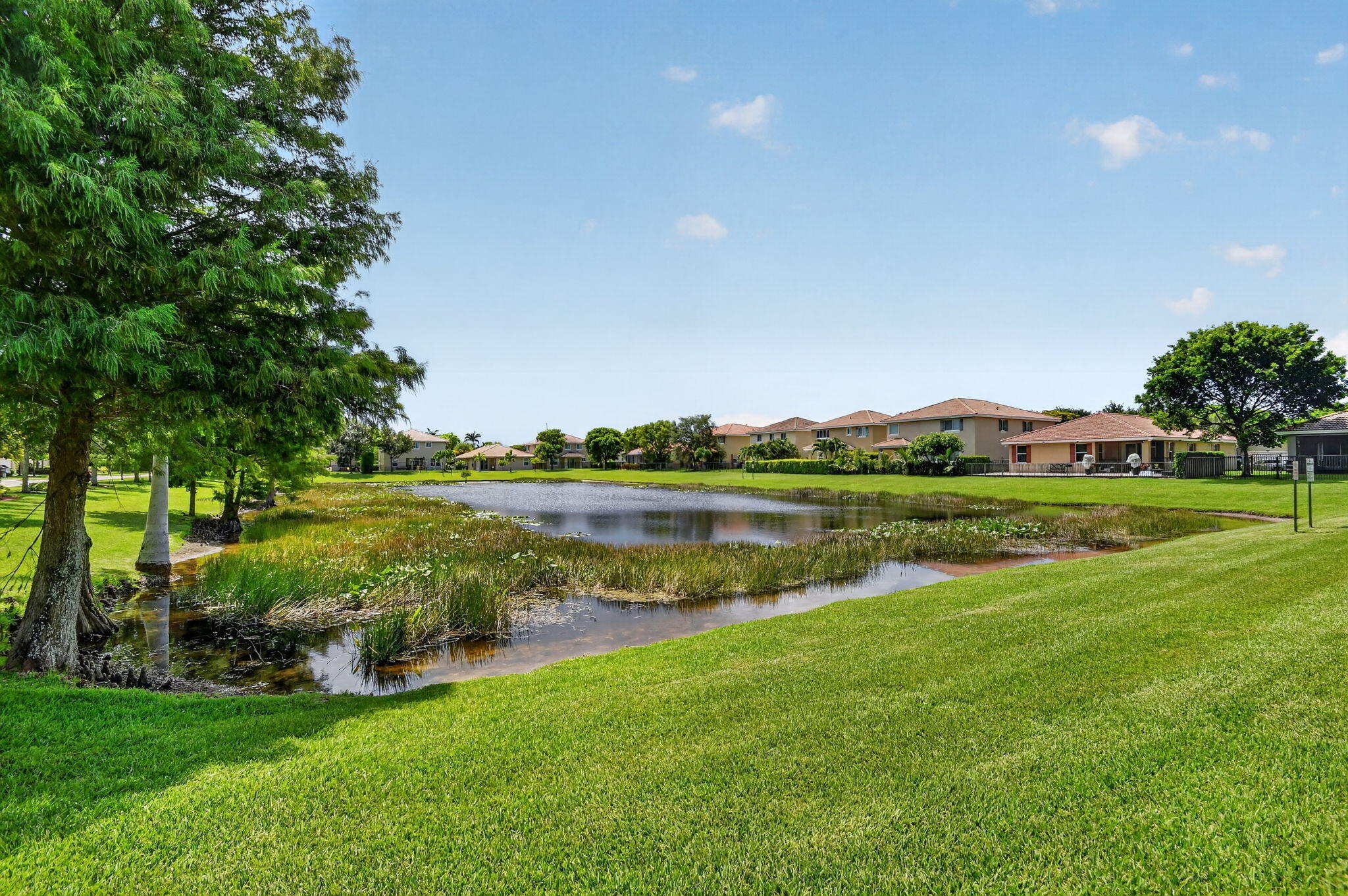 5652 Caranday Palm Drive Property Photo 53