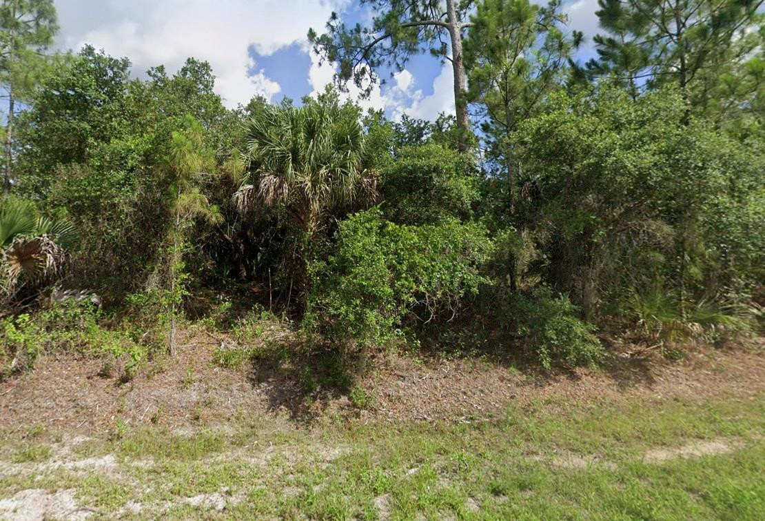 0 Bennington Street Property Photo 4