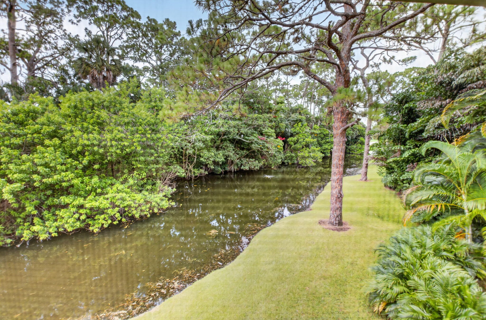 6957 Rain Forest Drive E 4 U Property Photo 21