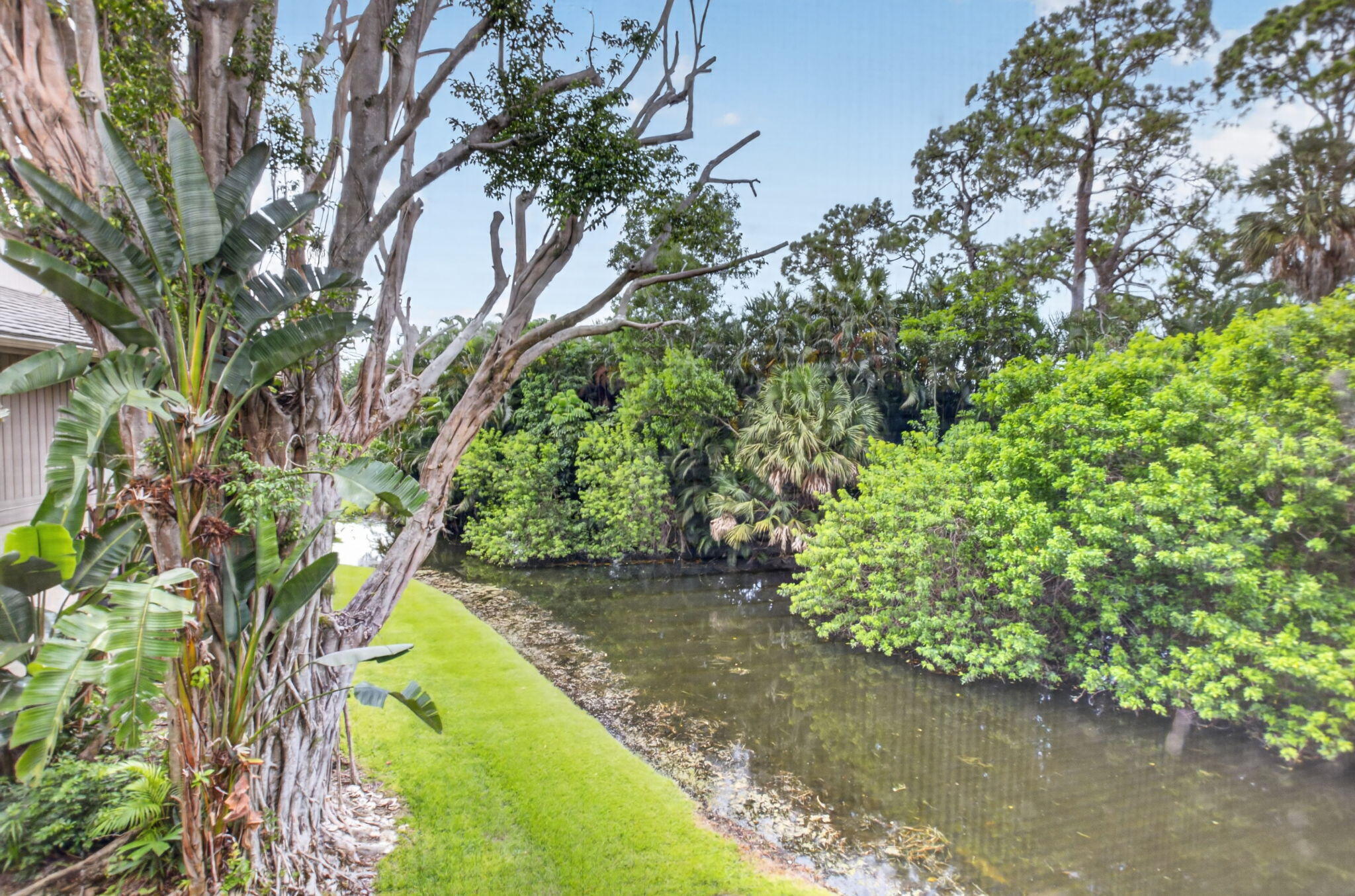 6957 Rain Forest Drive E 4 U Property Photo 22
