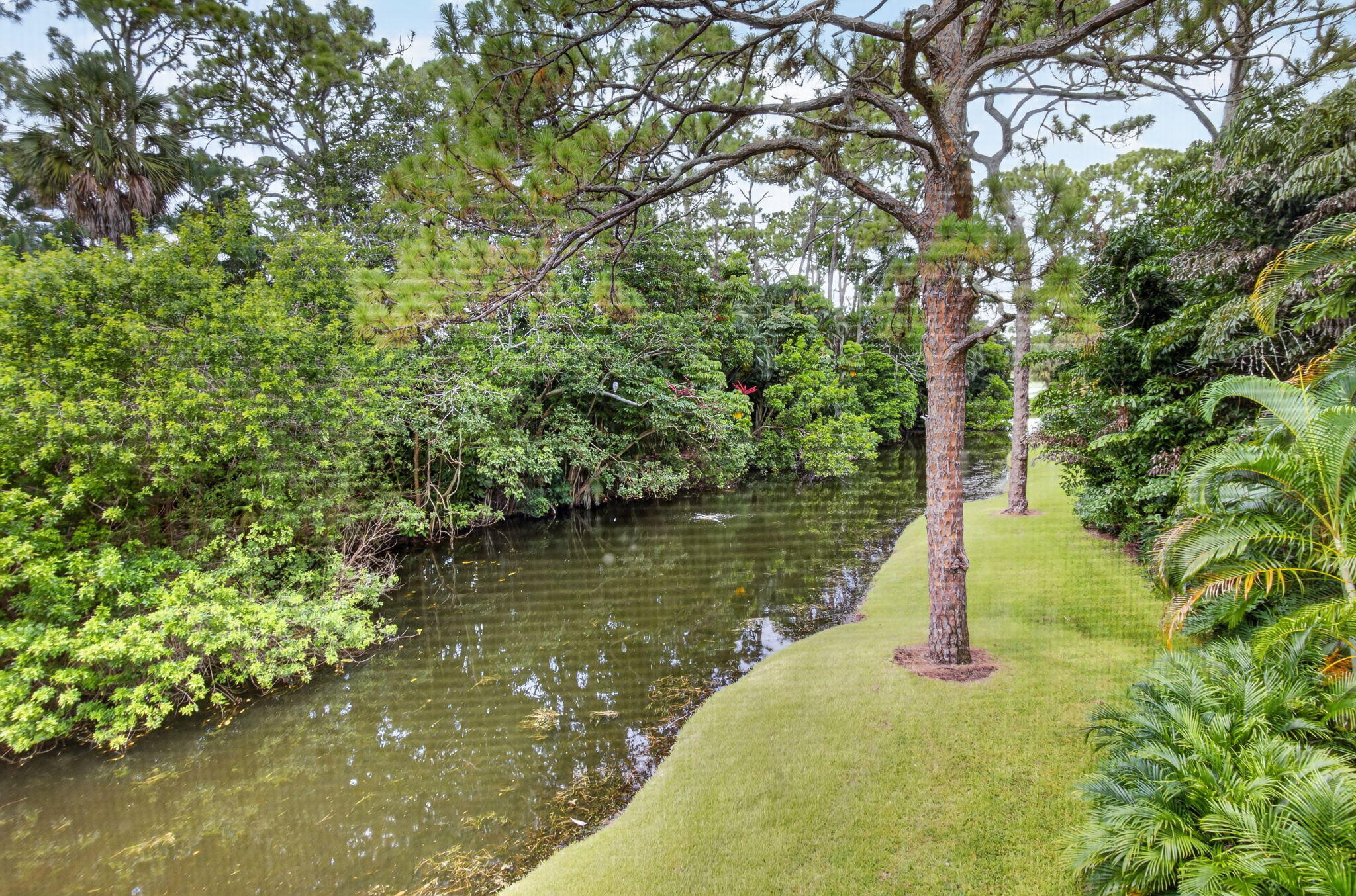6957 Rain Forest Drive E 4 U Property Photo 23