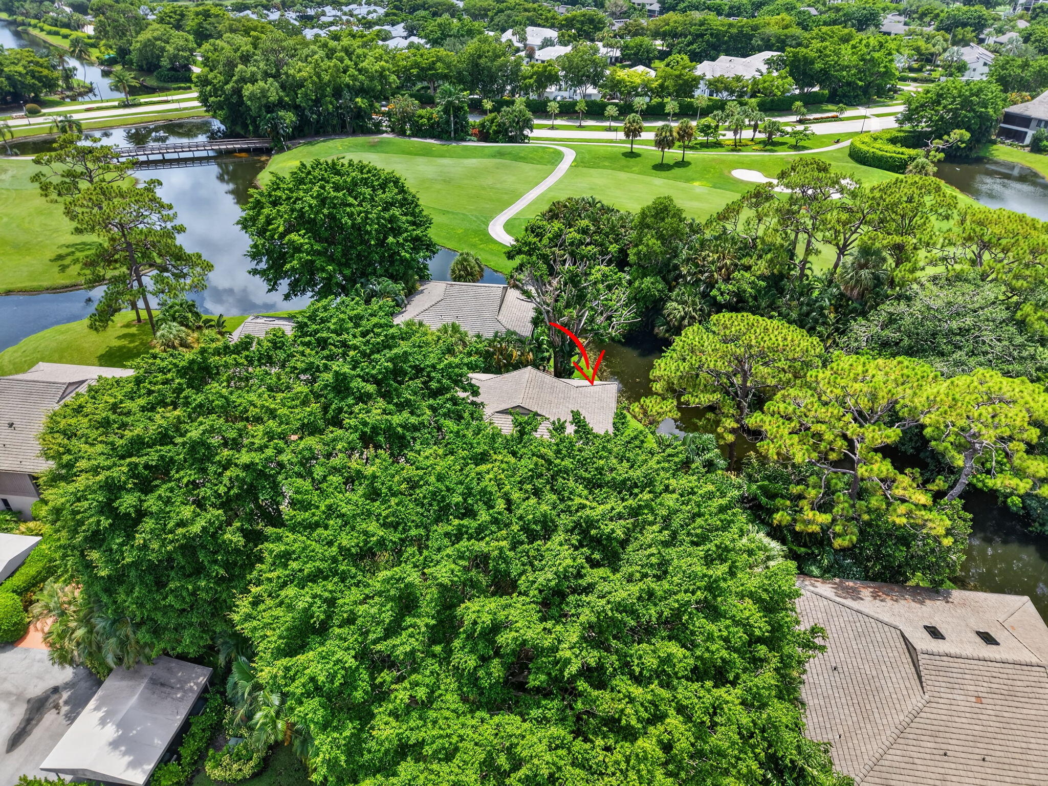 6957 Rain Forest Drive E 4 U Property Photo 51