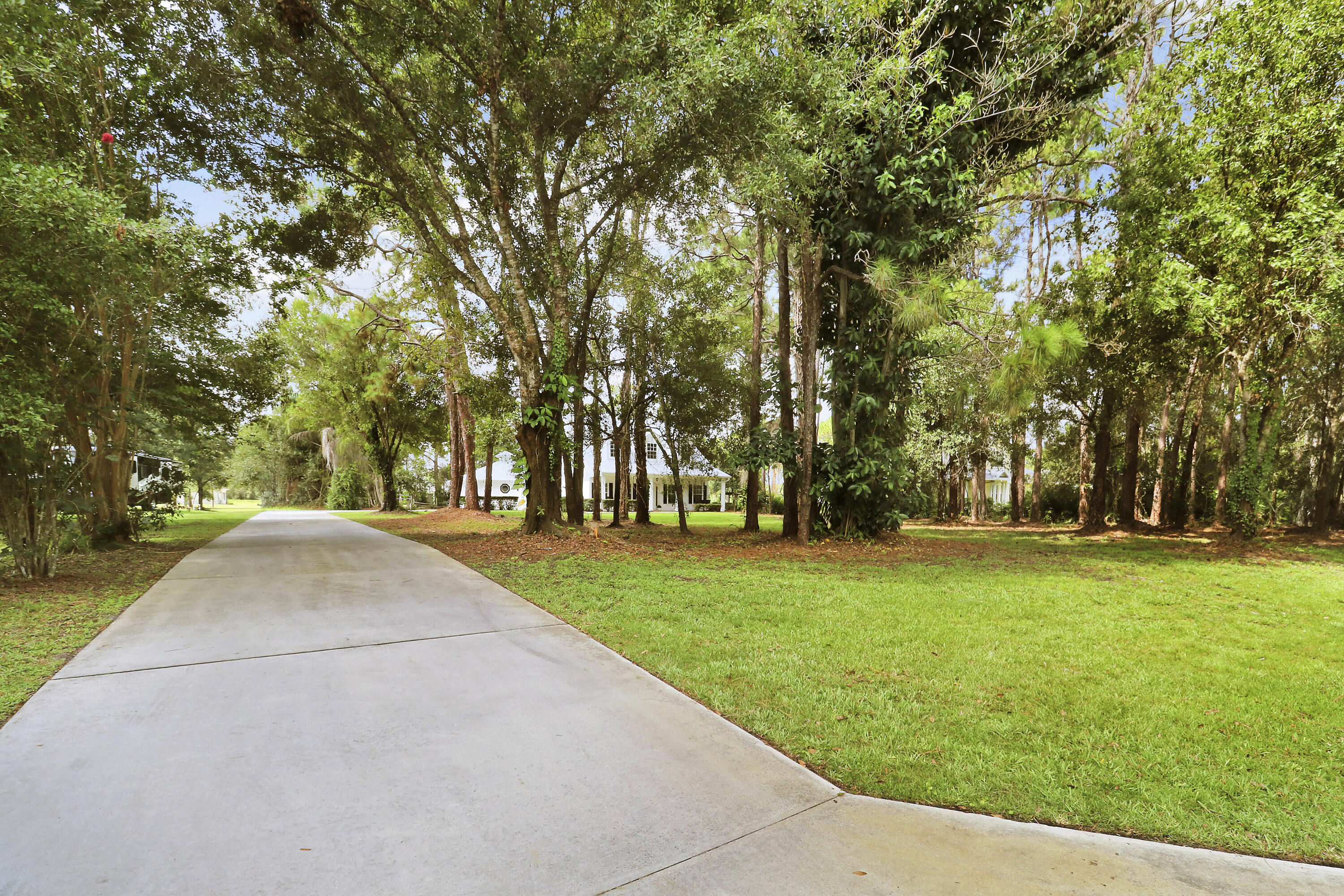 10635 Pine Needle Drive Property Photo 47