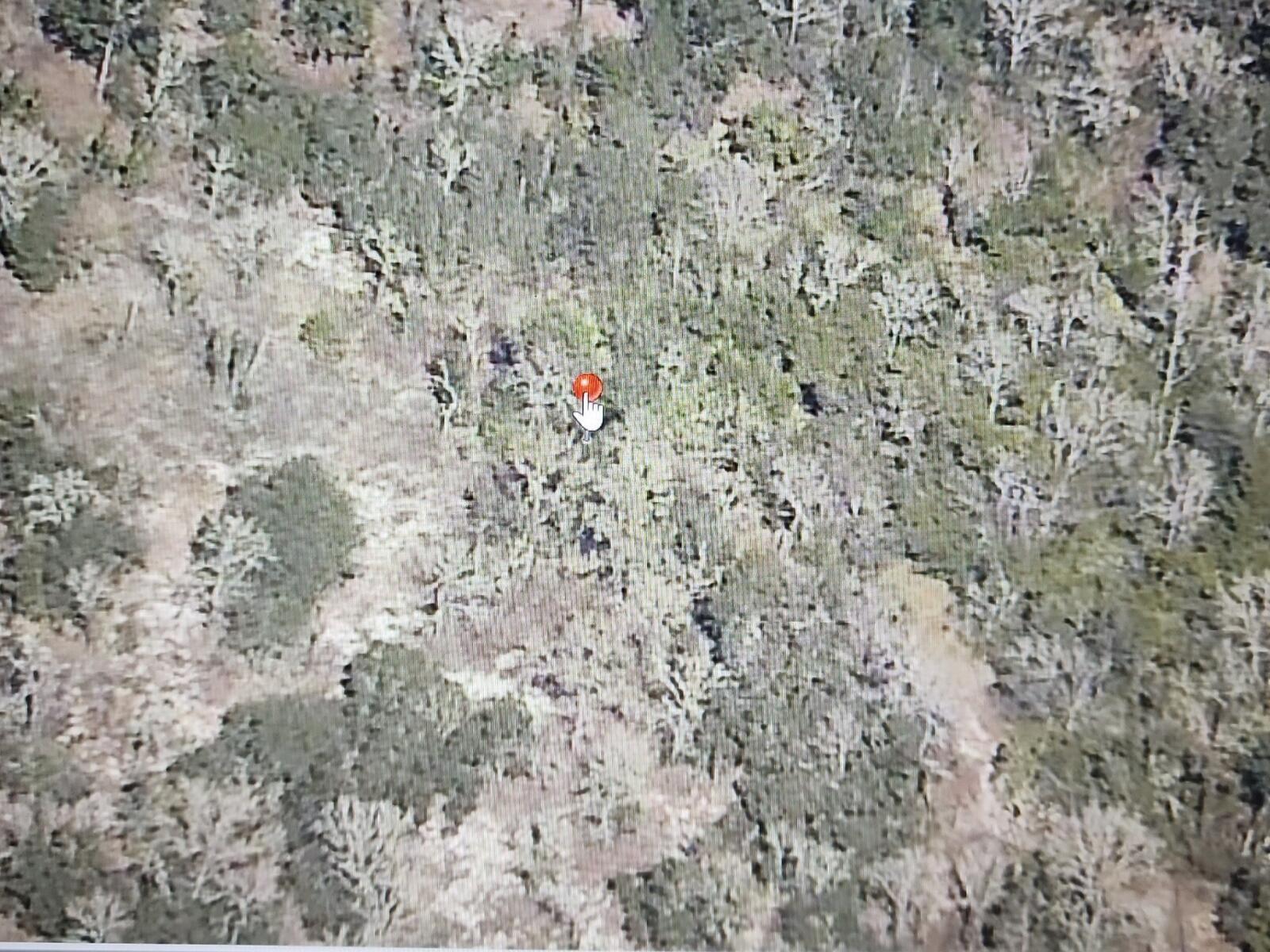 000 Sw Paradise Heights Road Property Photo 2