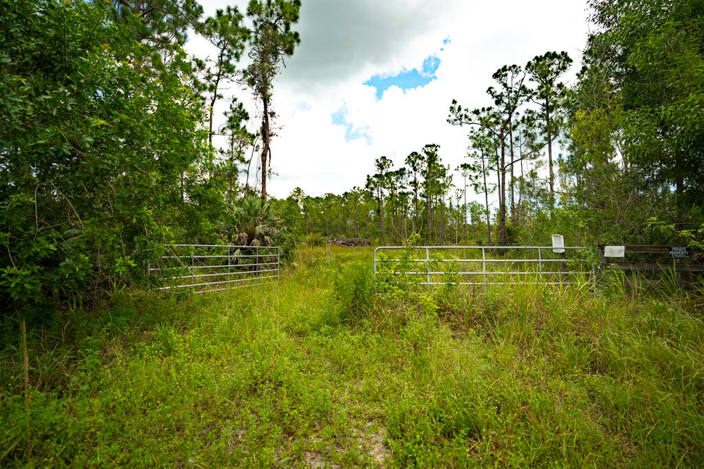 12460 79th Street Property Photo 19