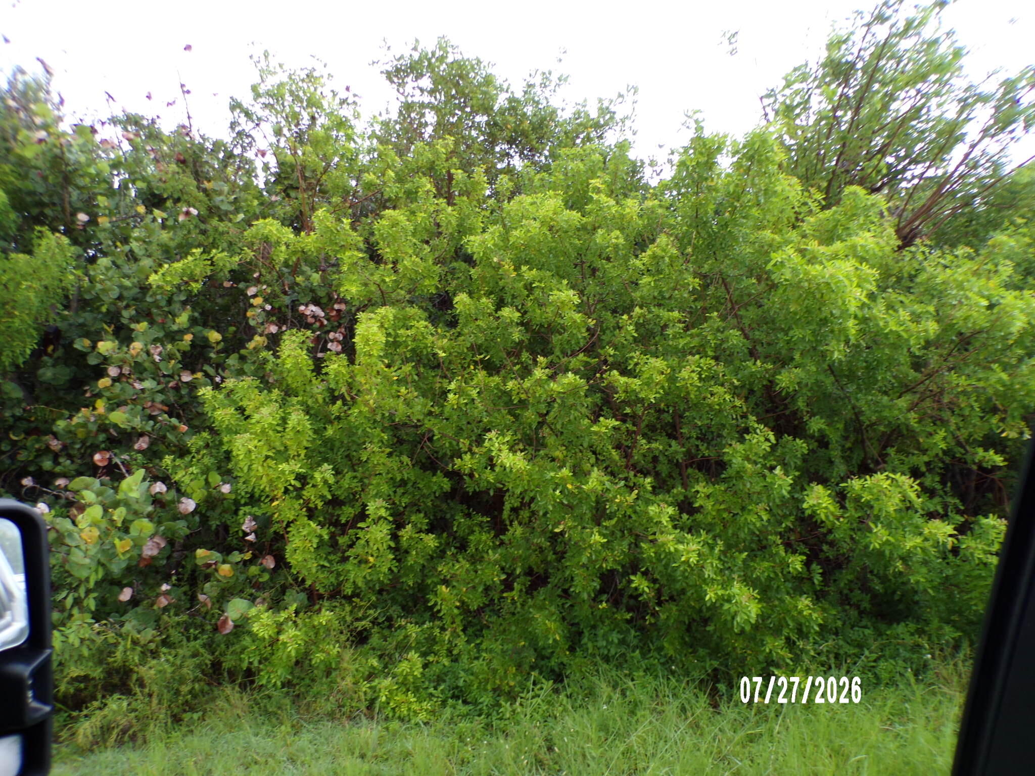 5306 Silver Oak Drive Property Photo 1