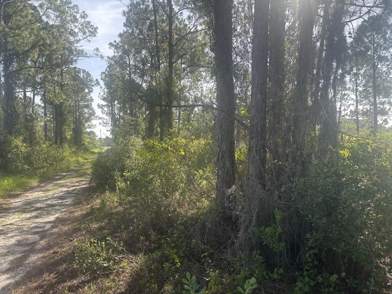 1021 Granger Street Property Photo 3