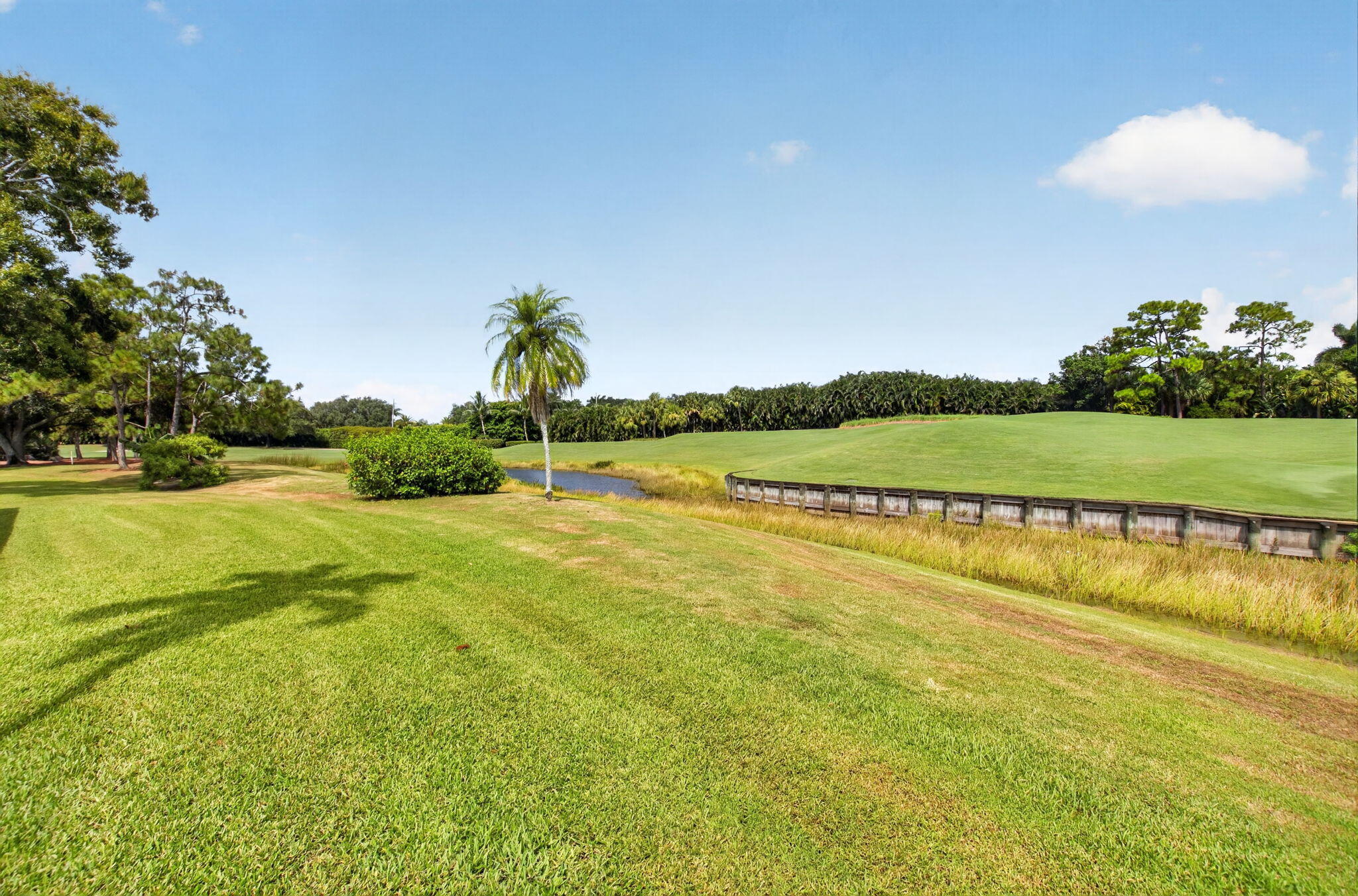 11 Holly Property Photo 39