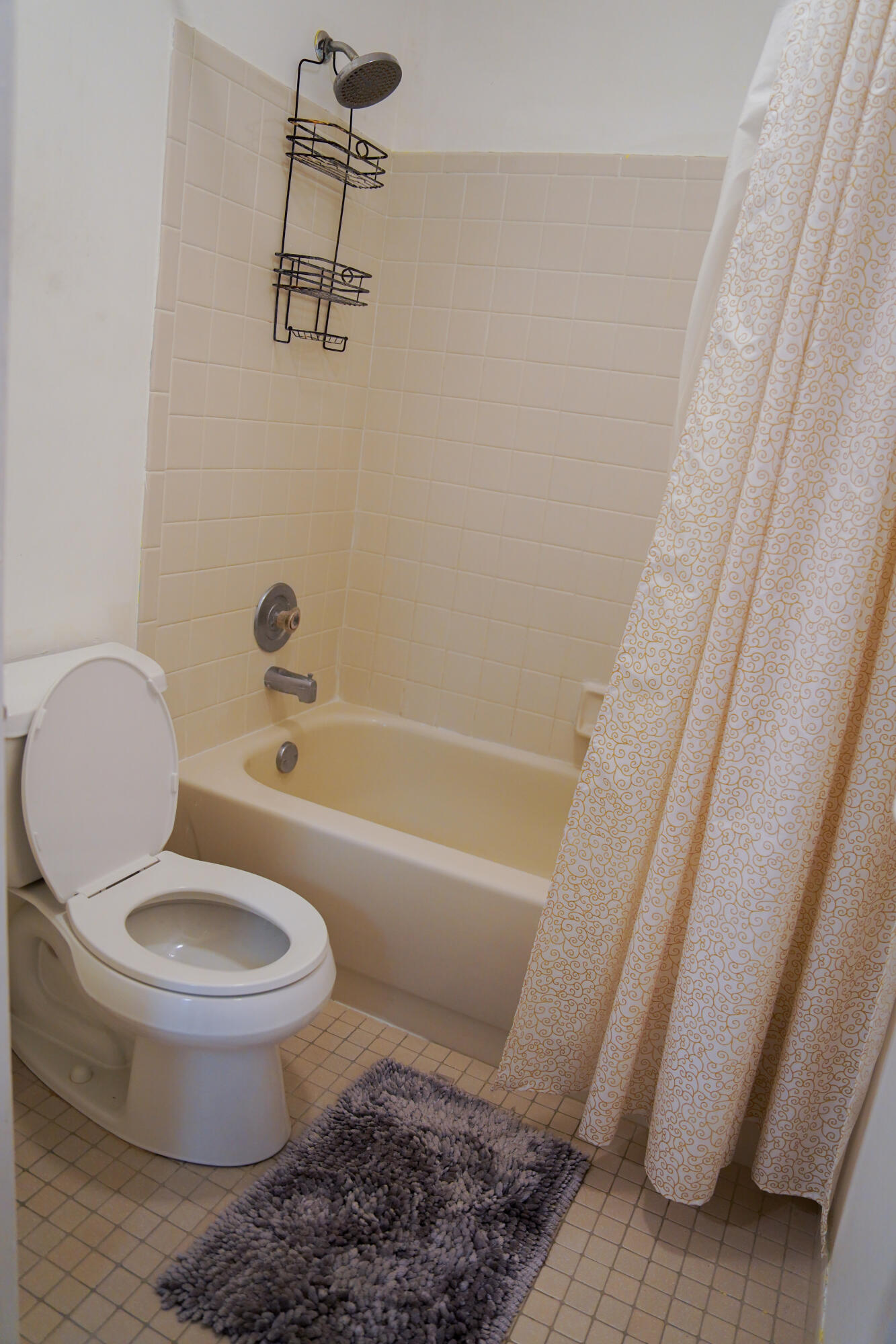 3 Hammond Place Property Photo 12