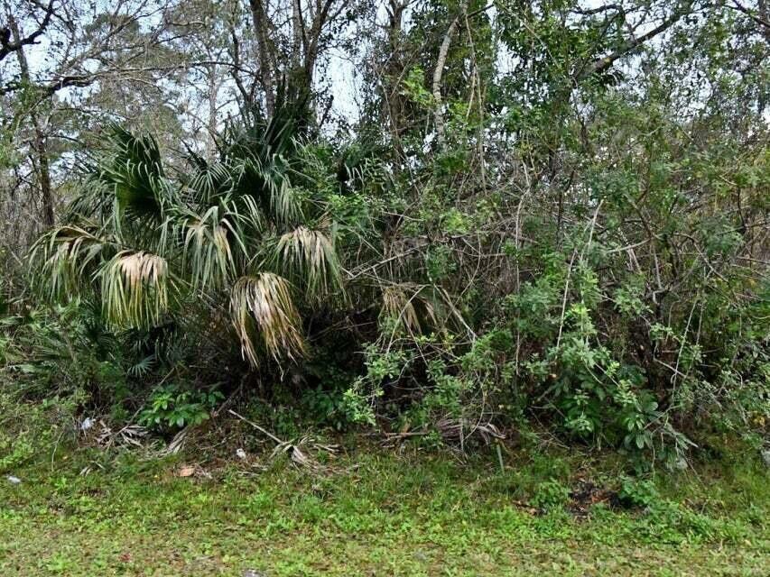 2120 Scott Avenue Property Photo 1