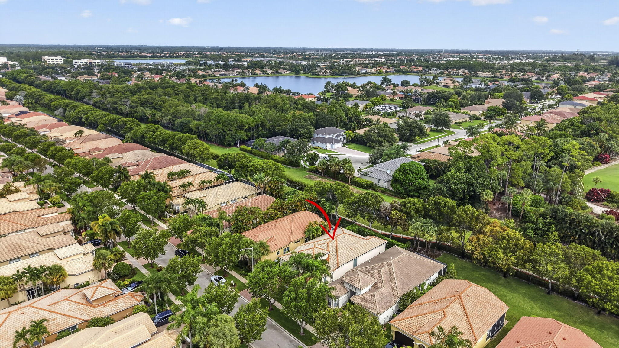 9469 Via Elegante Property Photo 43