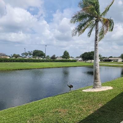 7928 Black Tern Drive Property Photo 21