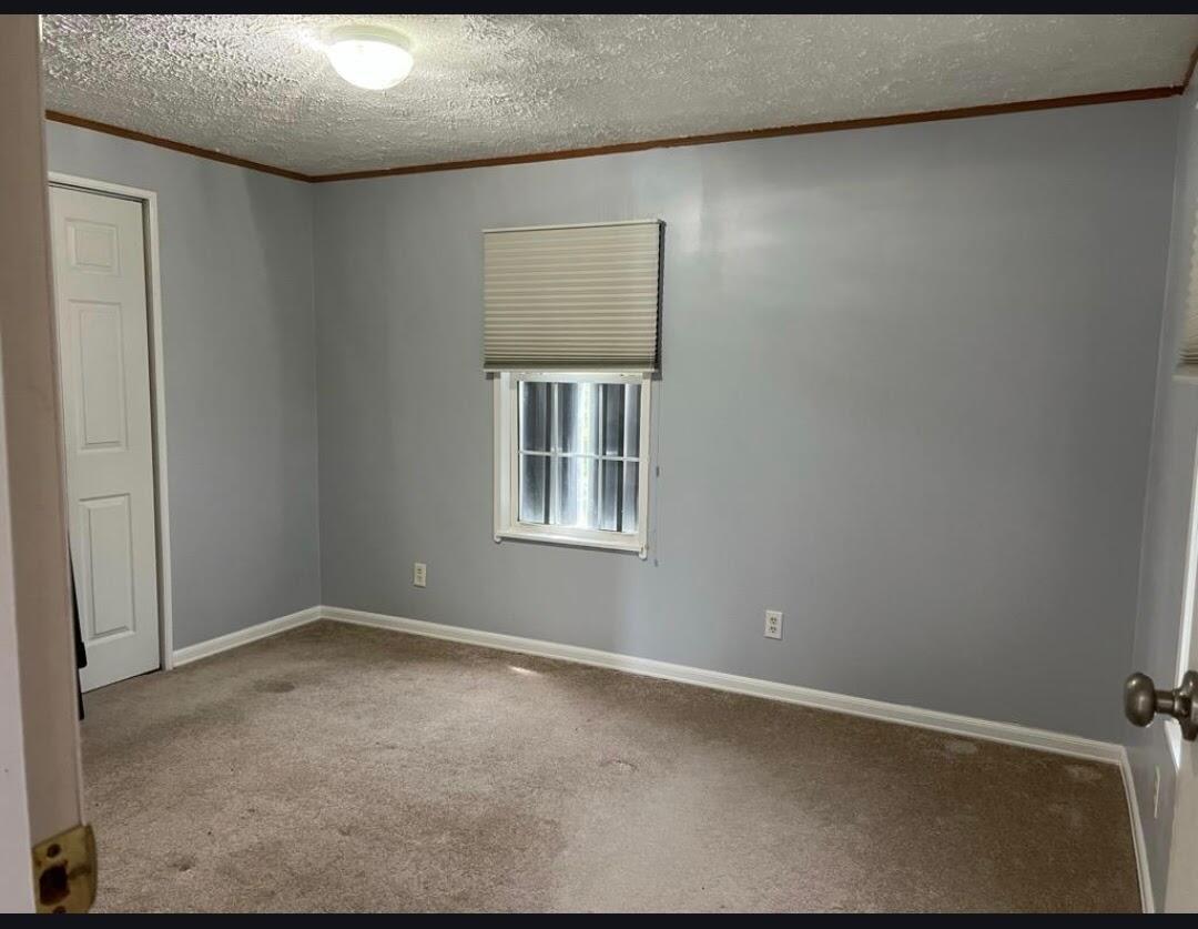 1040 12th Street Property Photo 9