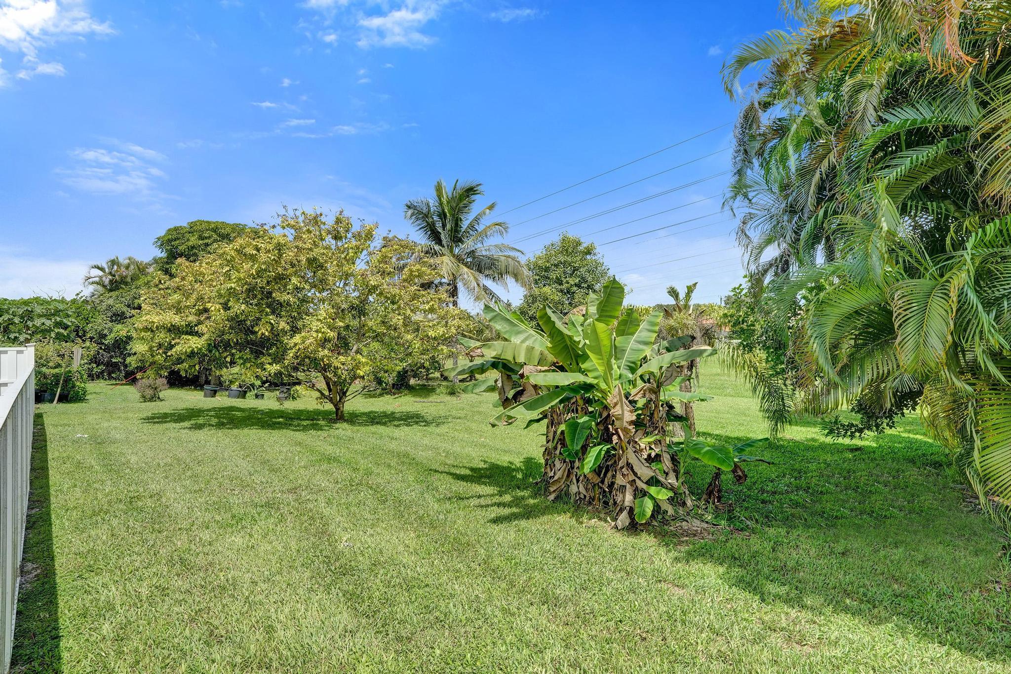10729 Edinburgh Street Property Photo 43