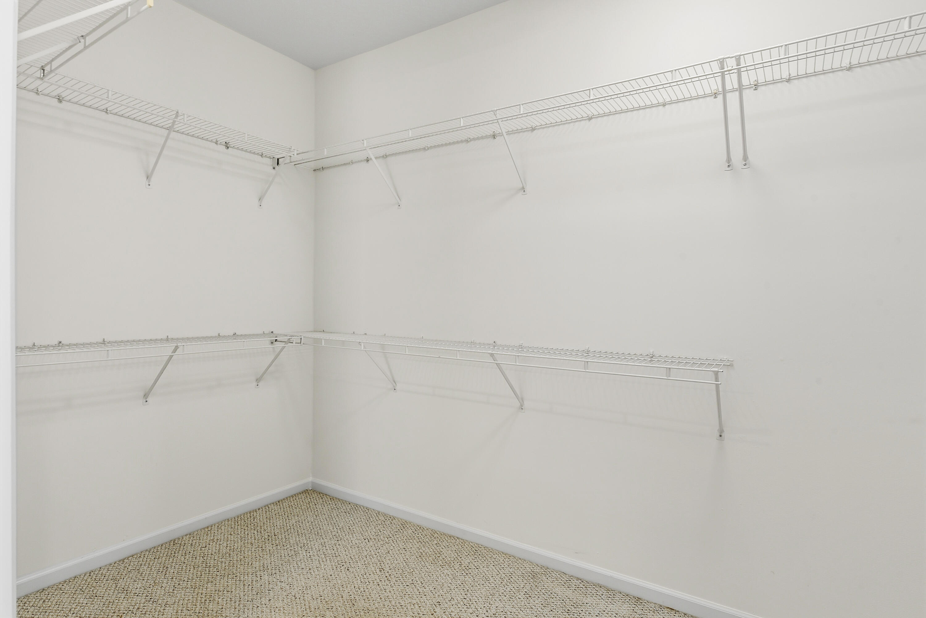 9069 Terni Lane Property Photo 22