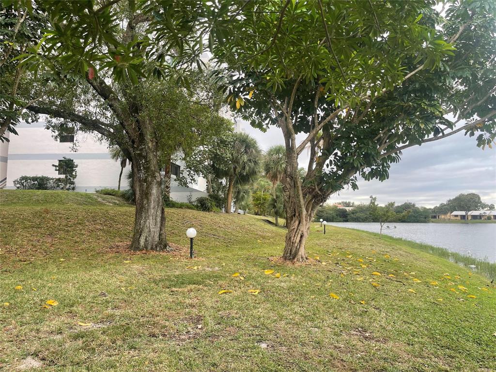 3301 Spanish Moss Terrace 610 Property Photo 39