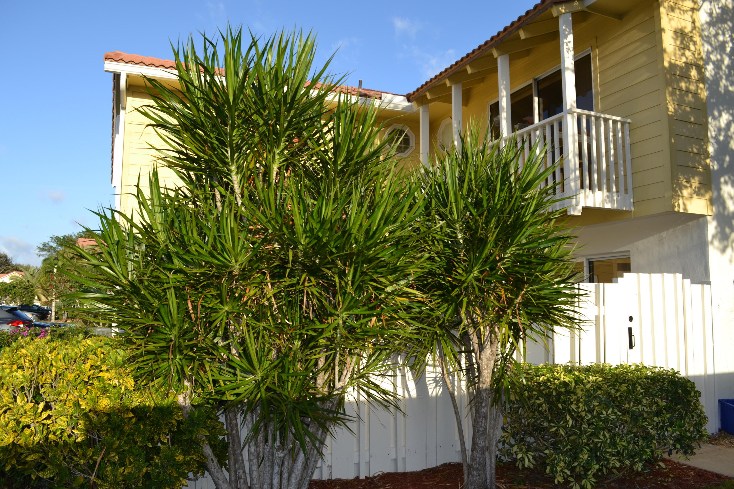 176 Seabreeze Circle Property Photo 3