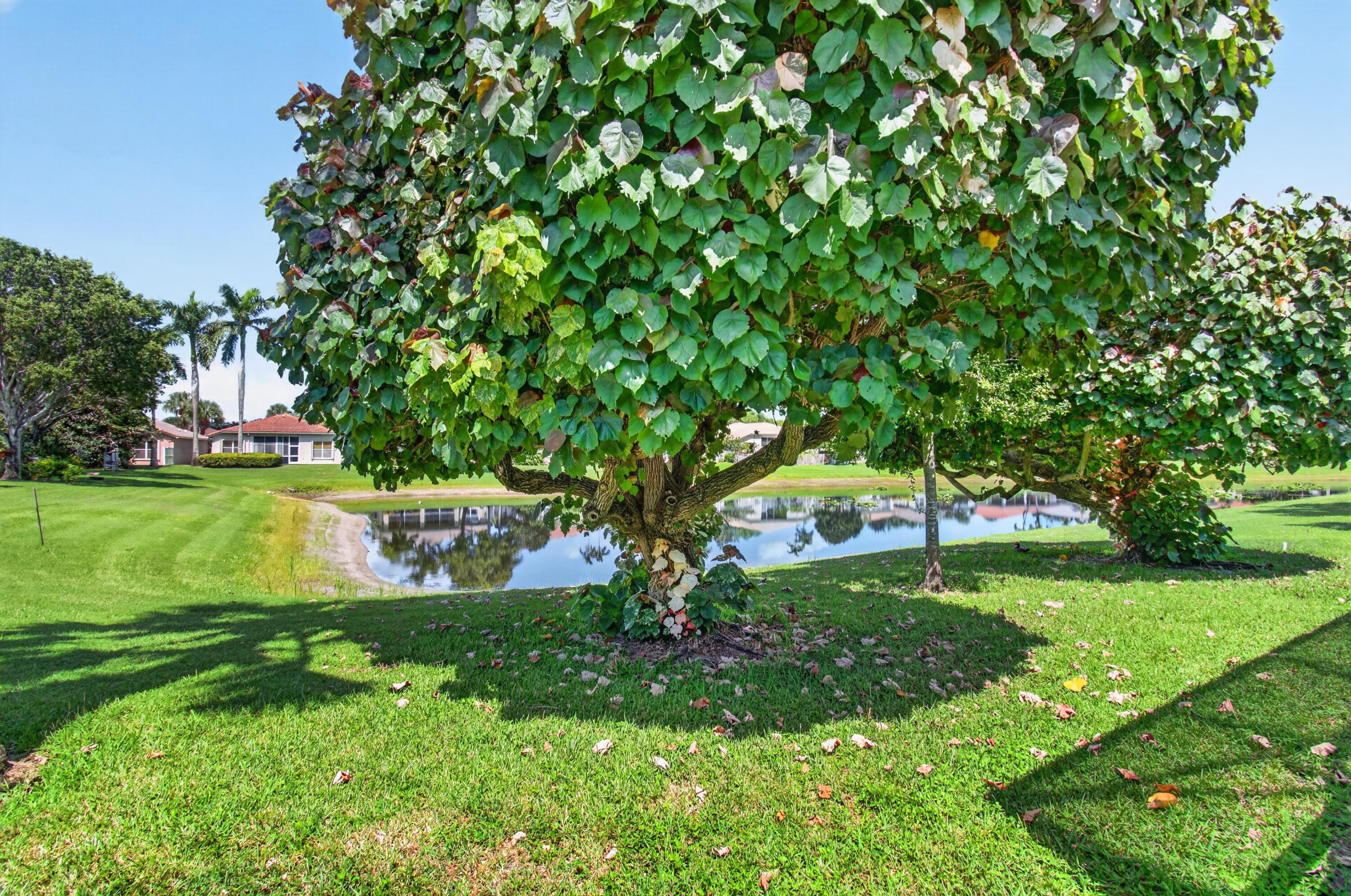 12643 Via Ravenna Property Photo 67