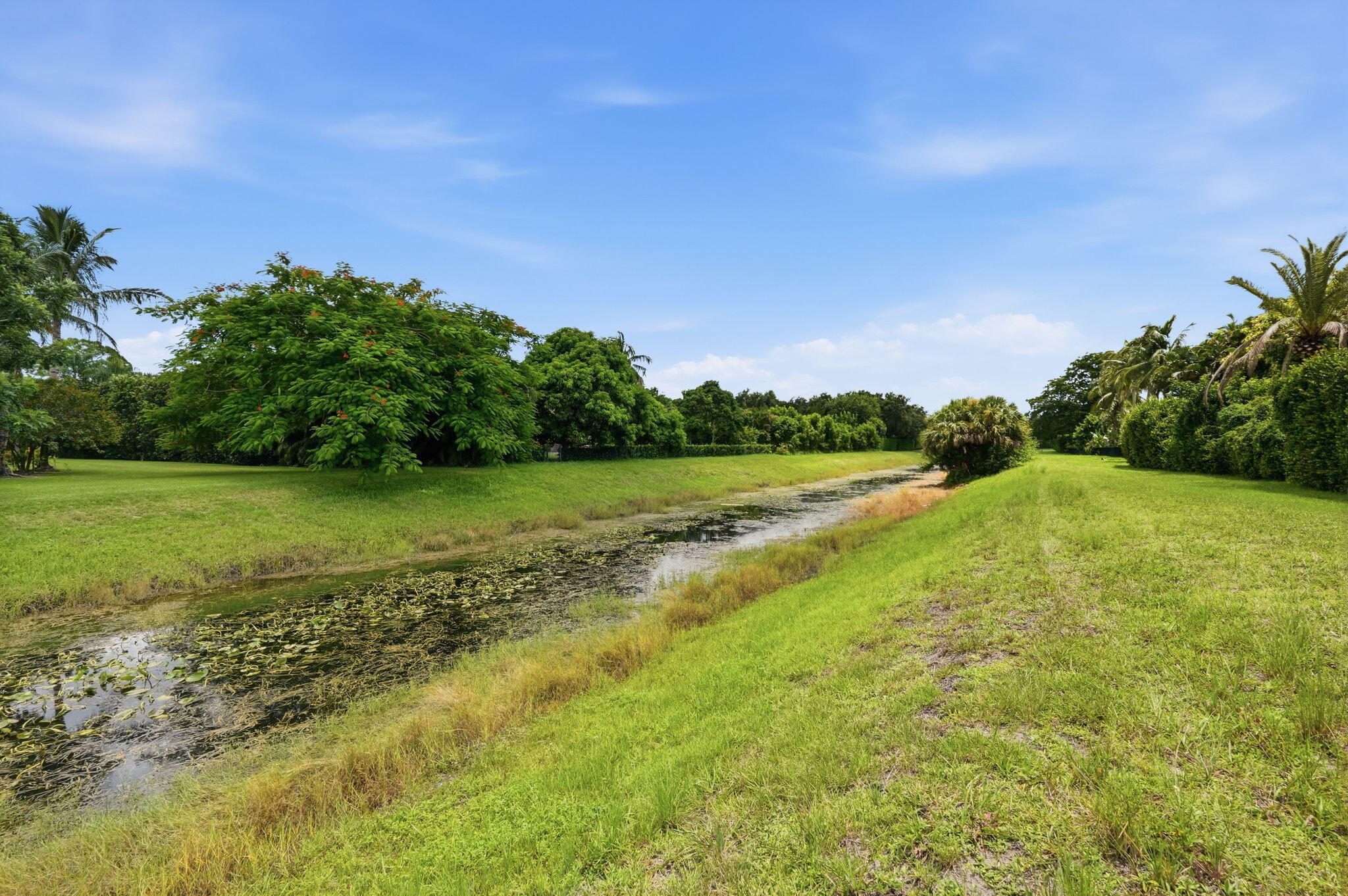 8288 Man O War Road Property Photo 11