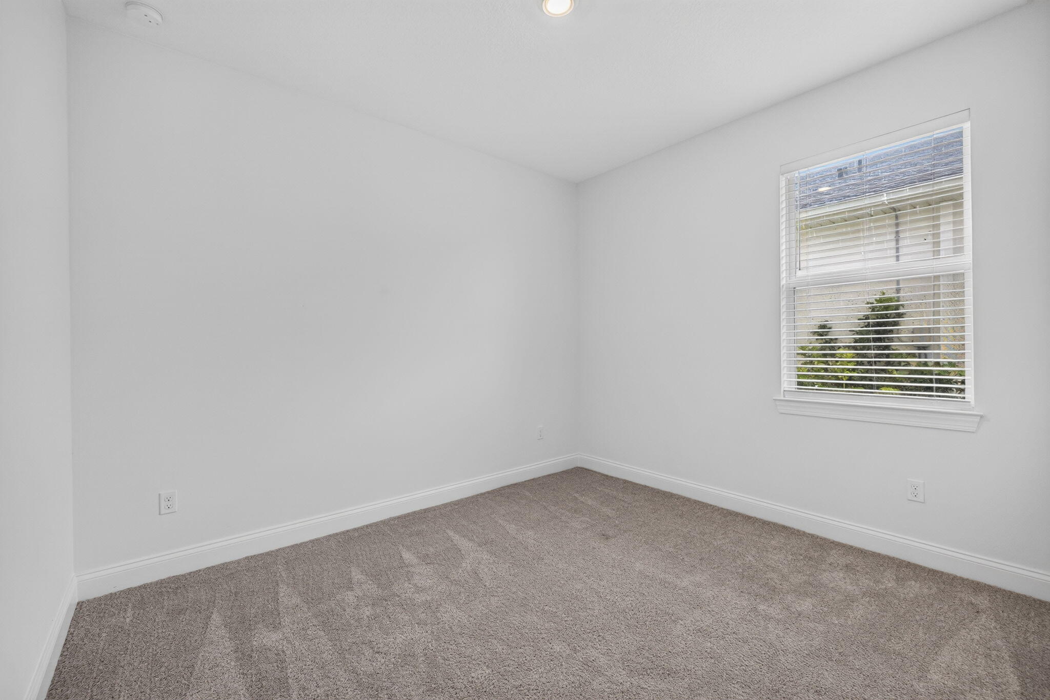 8666 Dahlia Circle Property Photo 11