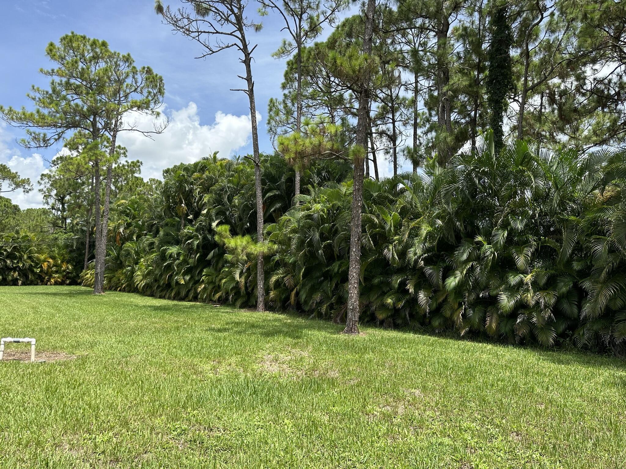 16193 72nd Road N Property Photo 43