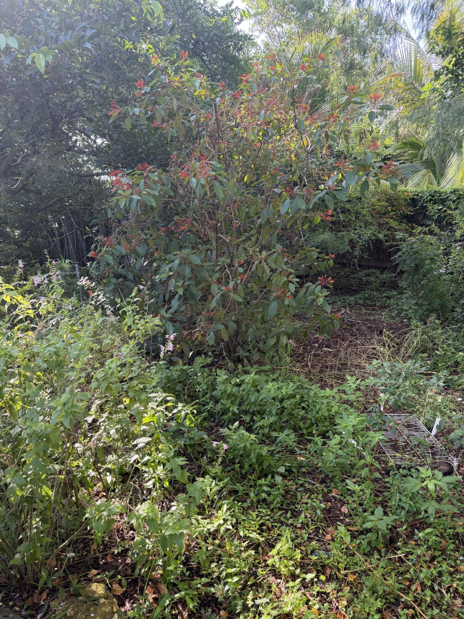 303 S Delaware Boulevard Property Photo 37