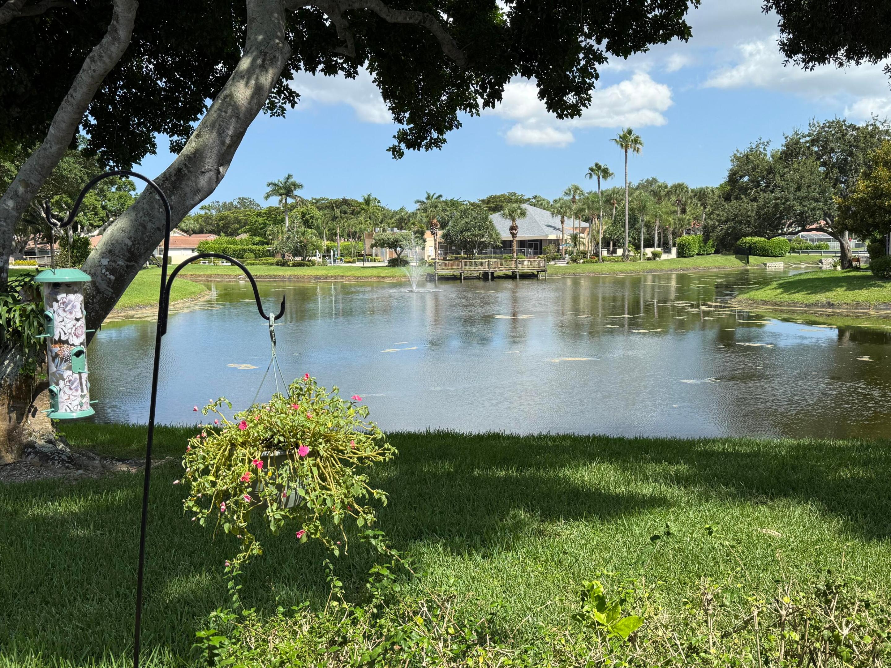 10884 Lake Front Place Property Photo 53